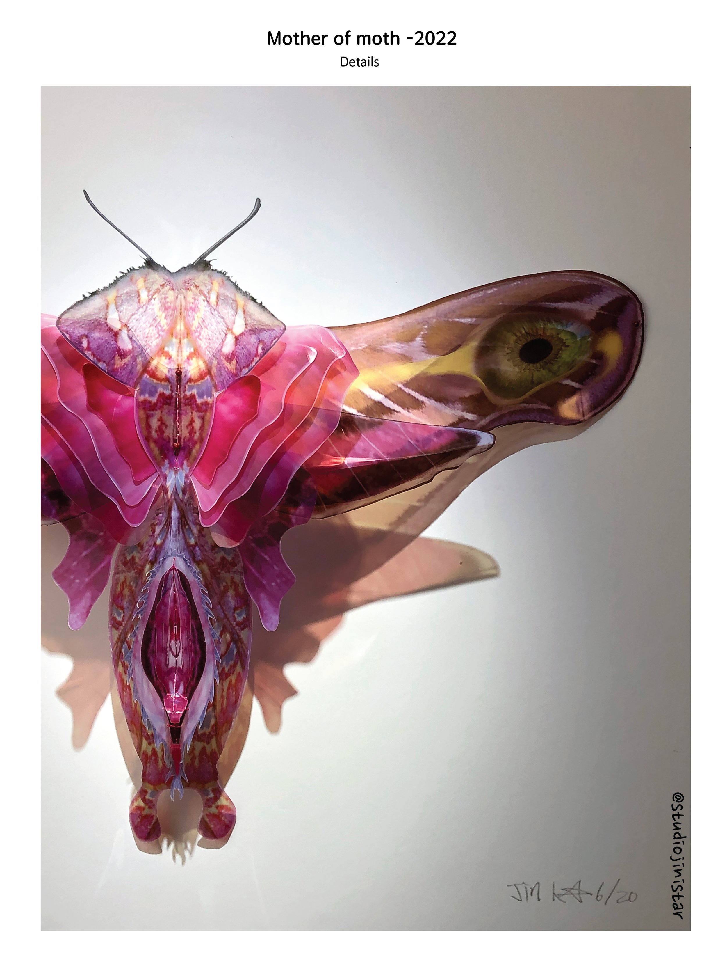 7butterfly-PF-2.16.24.jpg