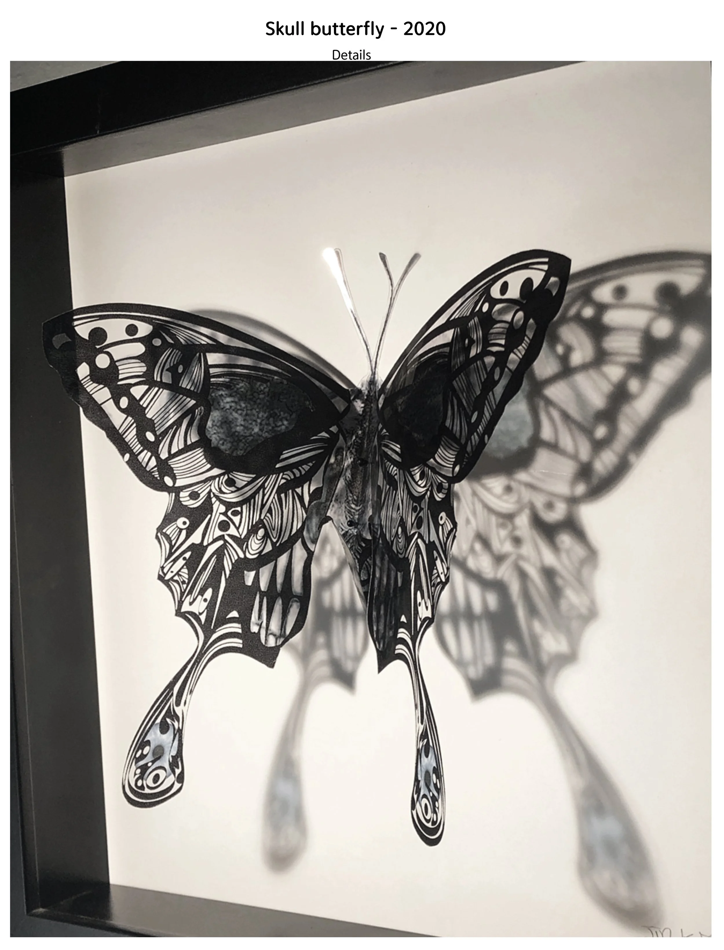 9butterfly-PF-2.16.24.jpg