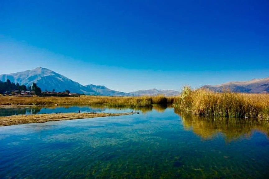 WhatsApp Image 2025-02-12 at 17.22.44.jpeg