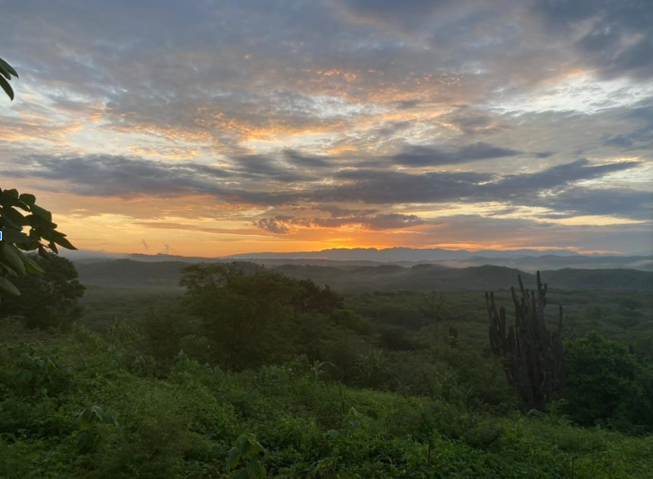 mamo retreat image 5.png