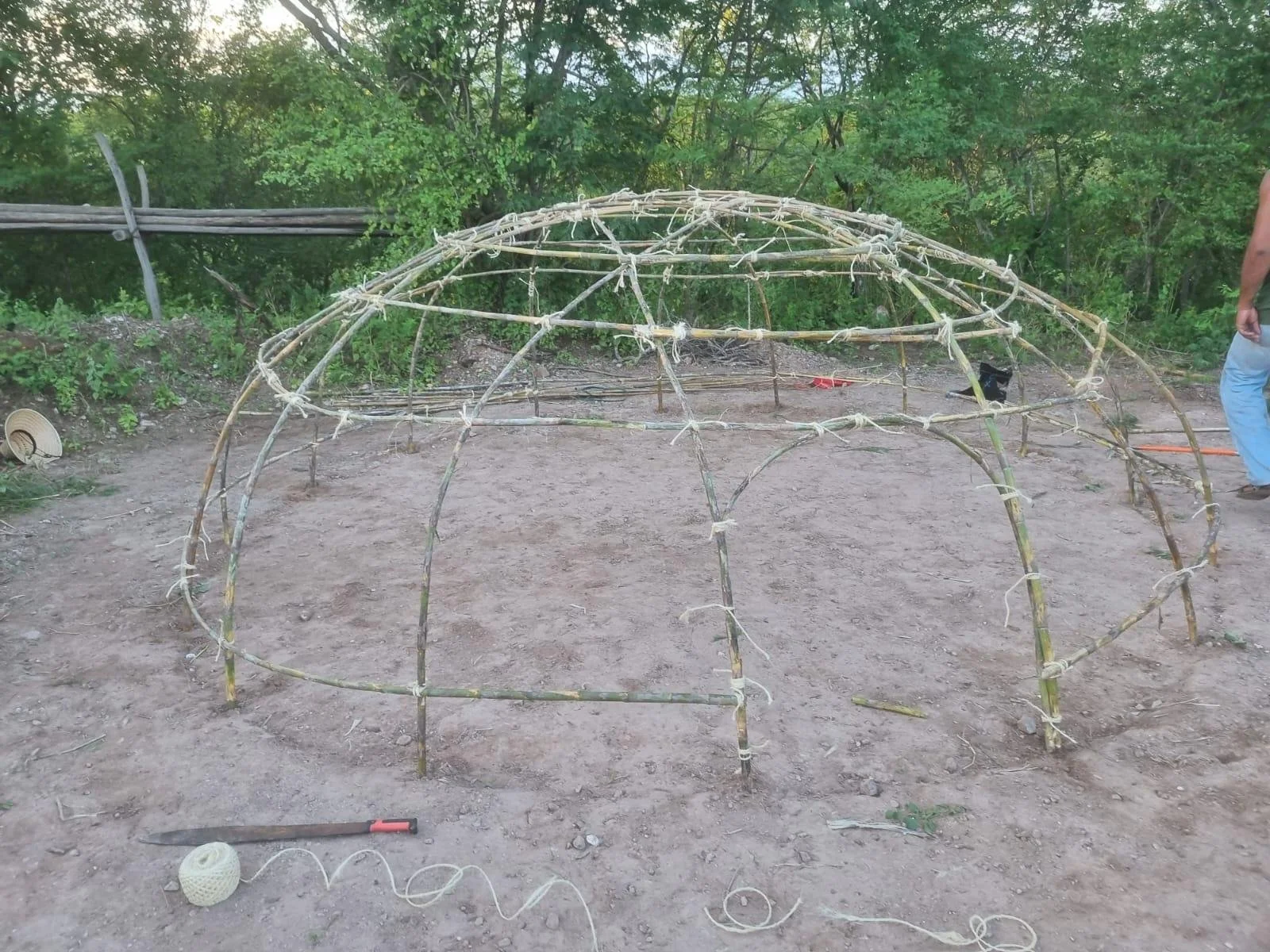 WhatsApp Image 2024-11-04 at 14.36.14 (1).jpeg