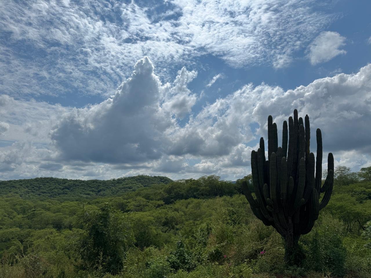 WhatsApp Image 2024-11-04 at 14.35.32.jpeg