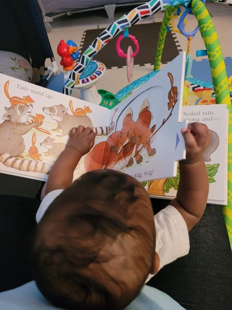 Sparrow Resized_20240826_135752.jpeg