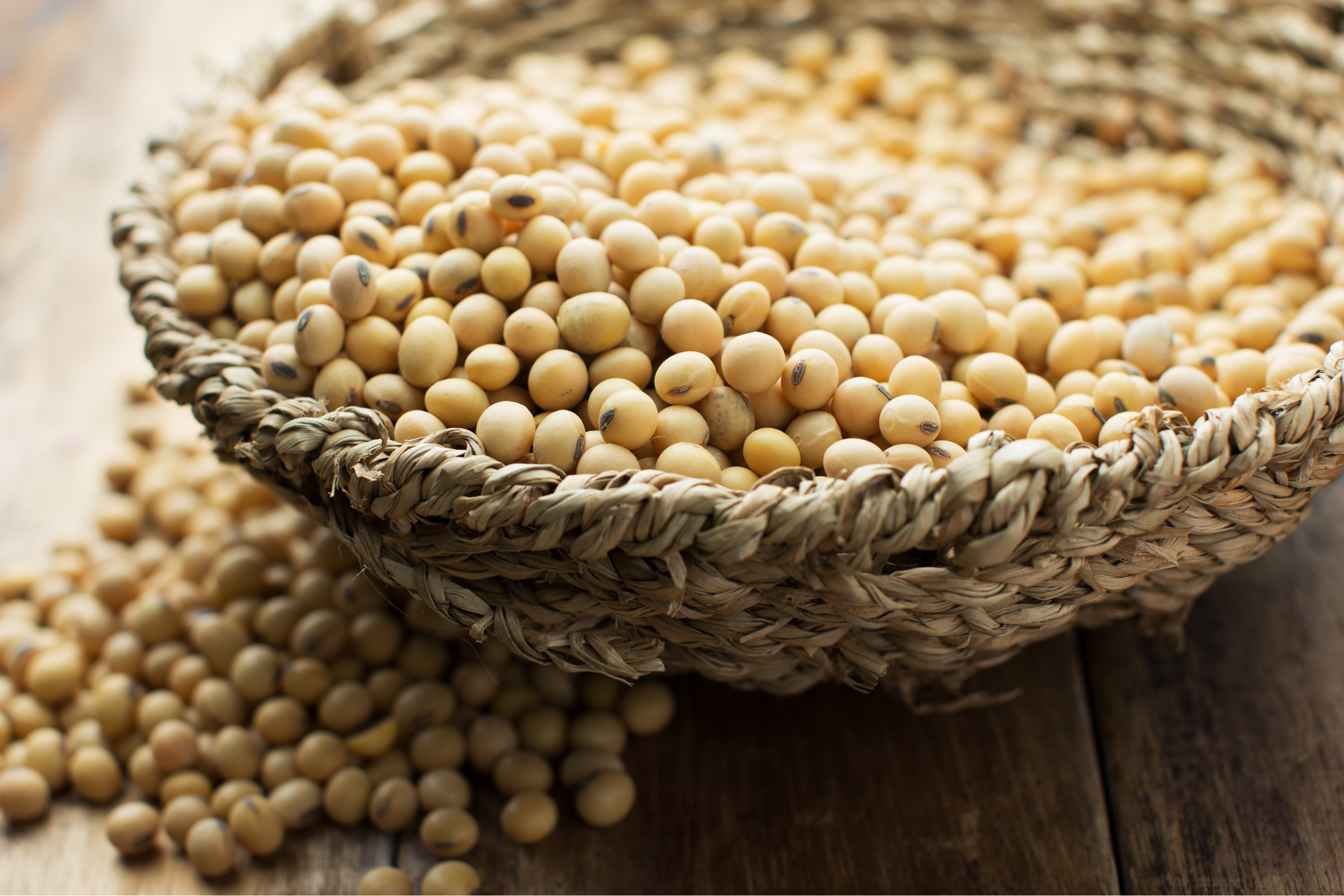 USWC Soybean Exports See First-Half 2026 Recovery