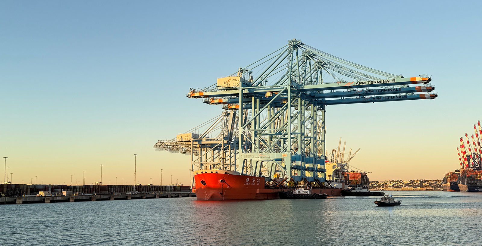 241118-los-angeles-pier-400-new-cranes.png