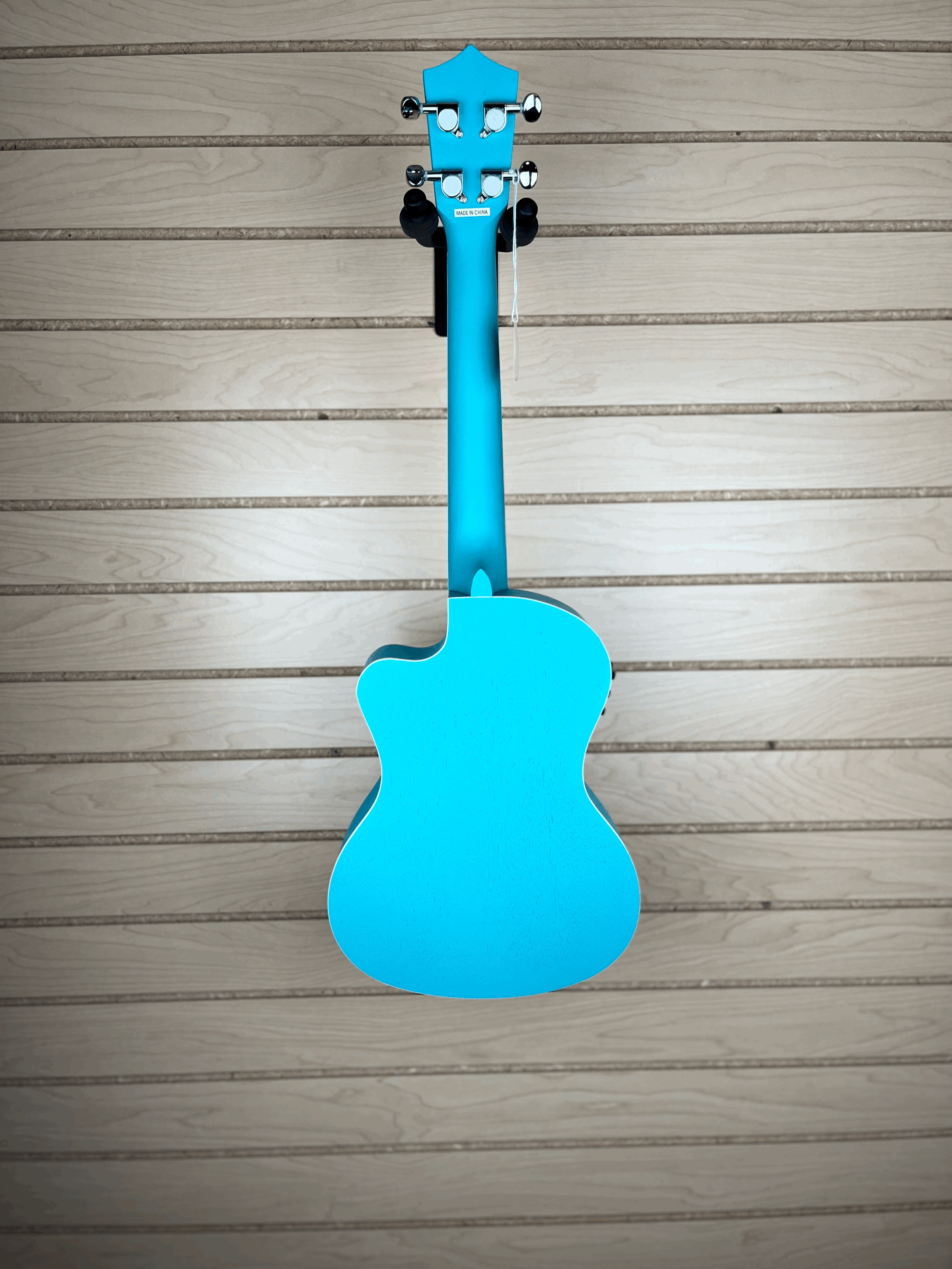 tempImageC2PSAM.gif