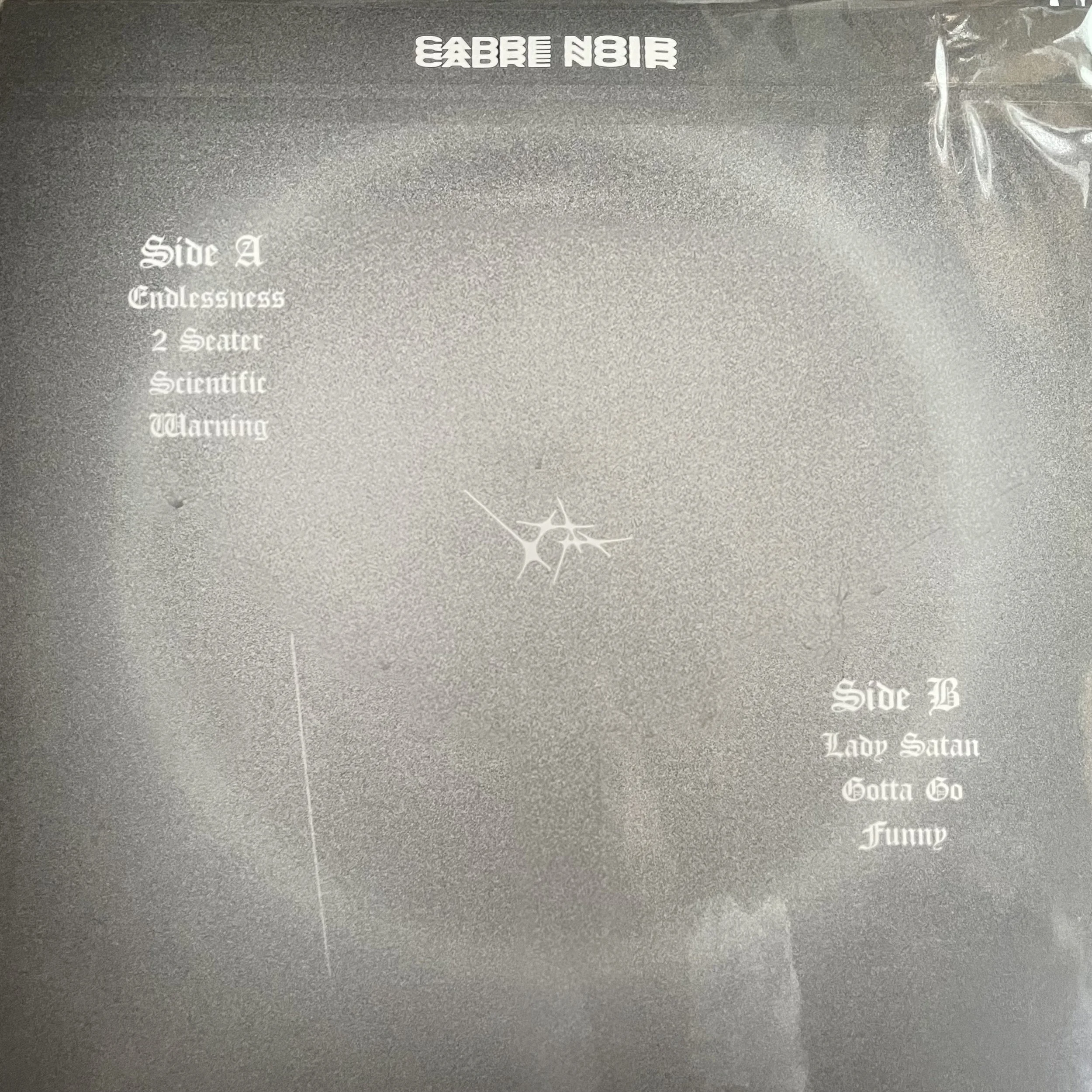 LSP vinyl photo back.jpg