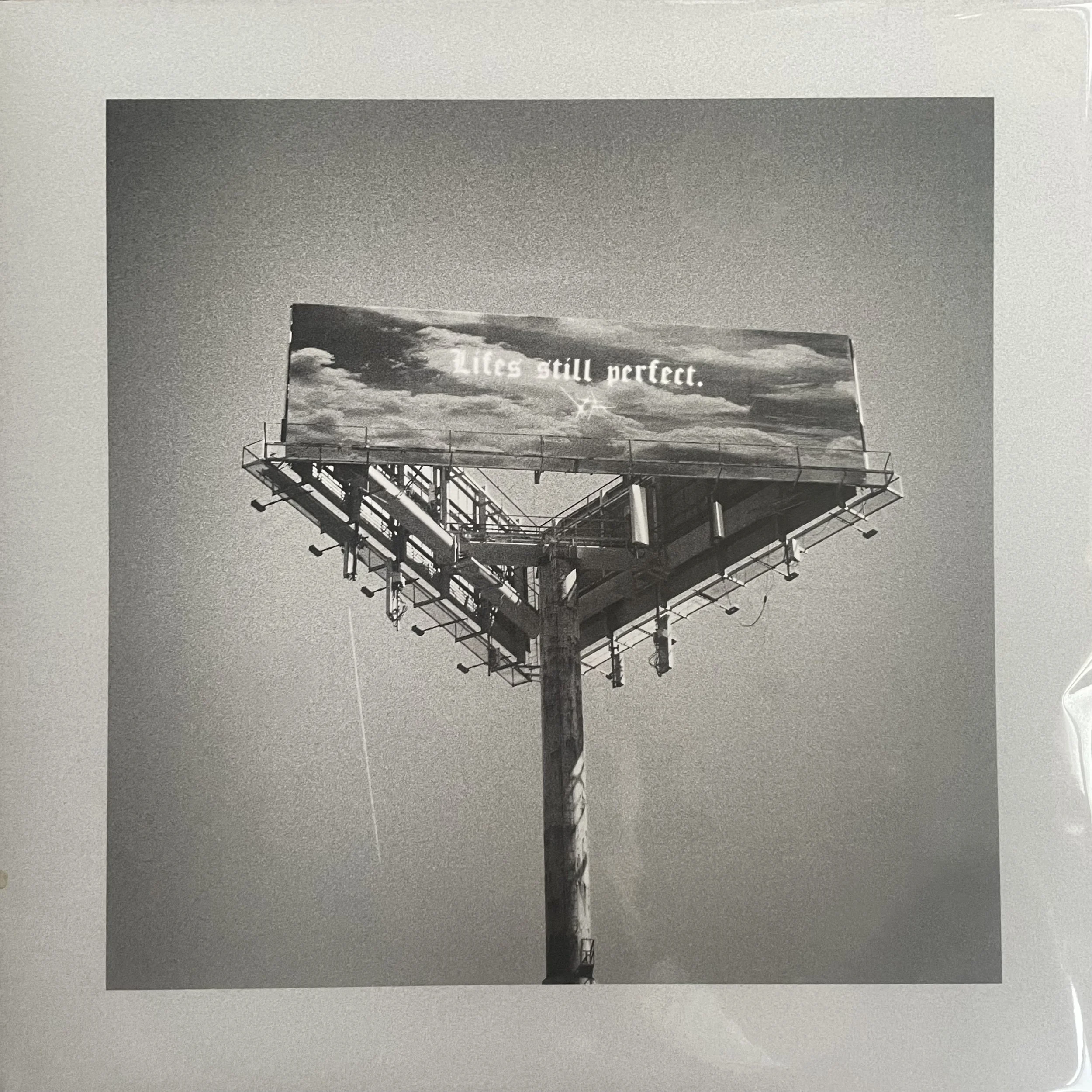 LSP vinyl photo front.jpg