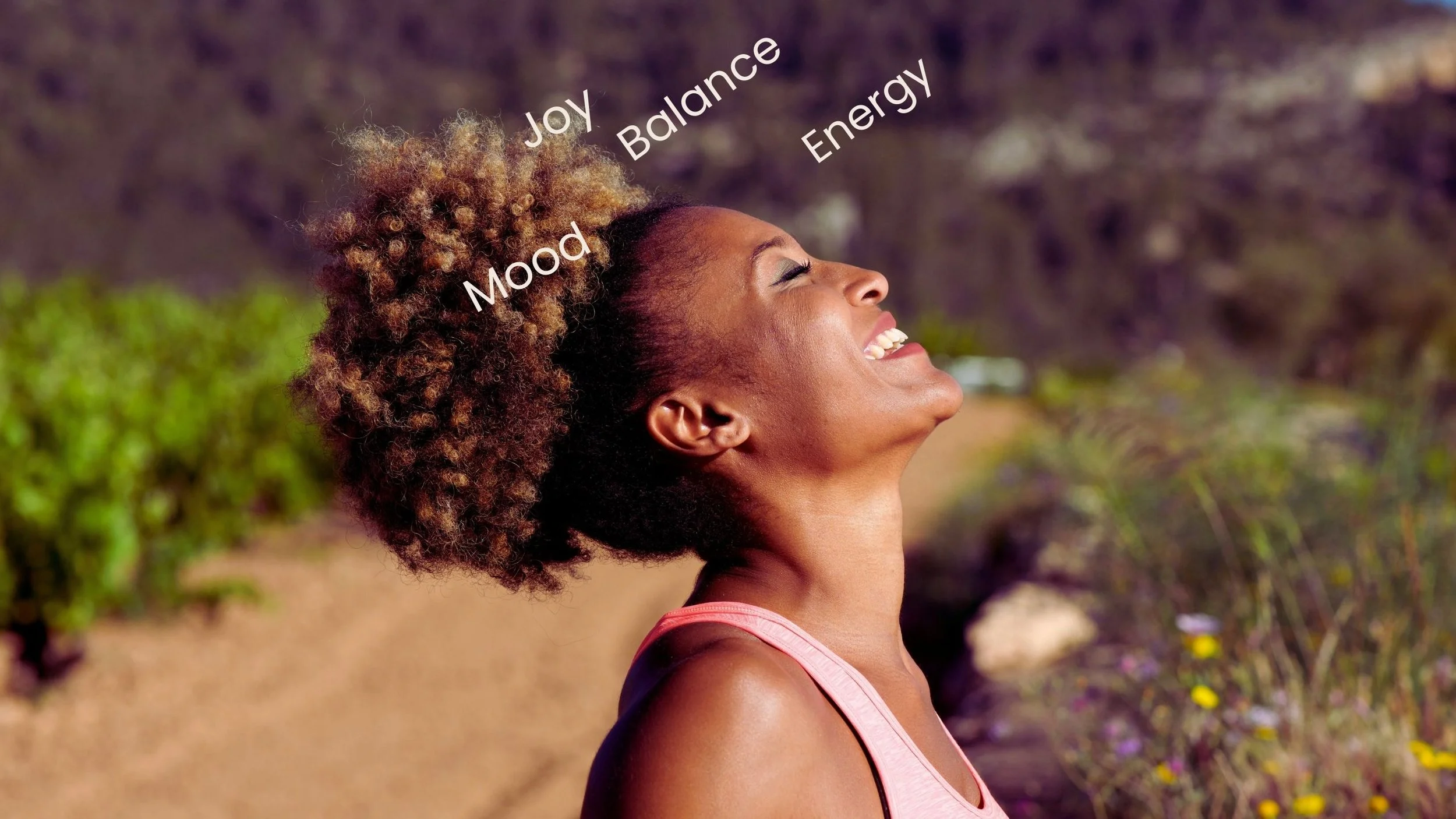 Hormone Wellness Blueprint