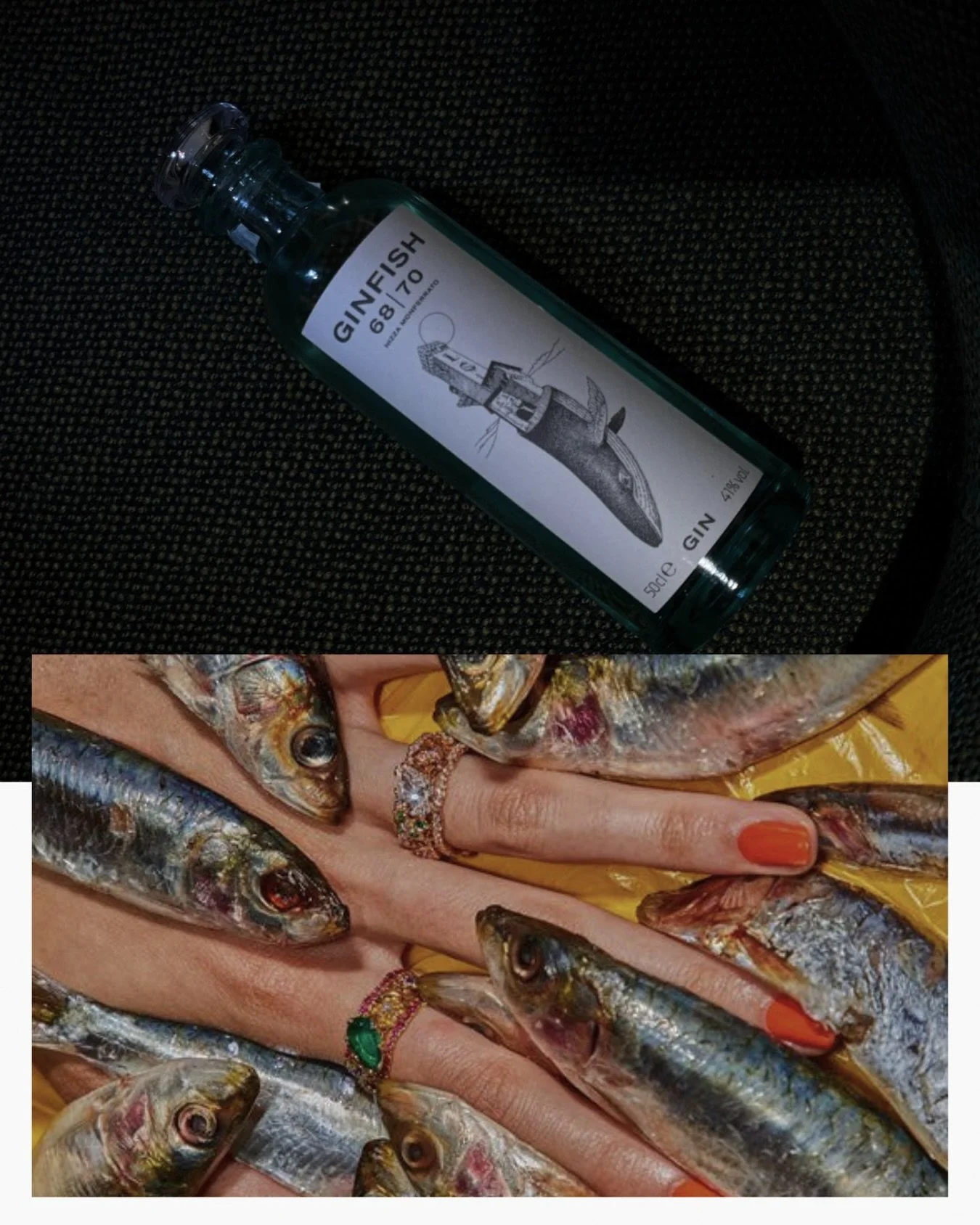 No hangover for @ginfishclub members 🤫🐋🍸

 La consommation d&rsquo;alcool est dangereuse pour la sant&eacute;. &Agrave; consommer avec mod&eacute;ration
