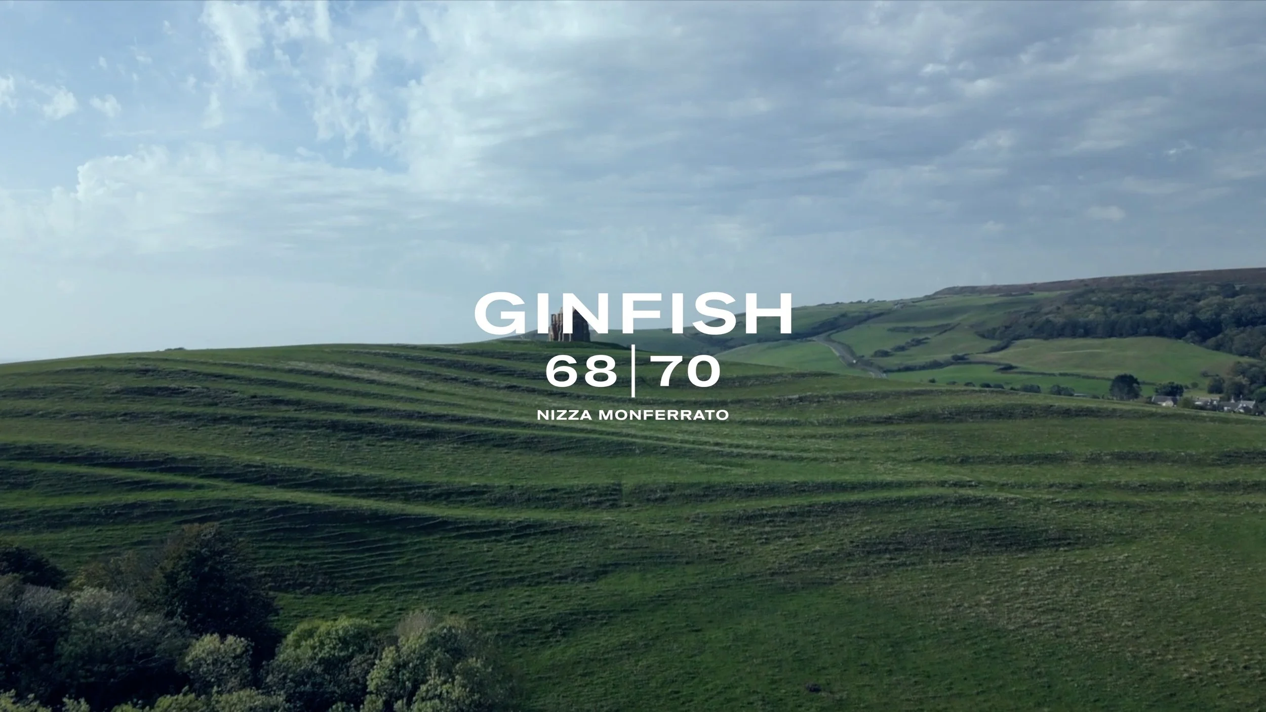 GINFISH 3 Transition 1 2 2.jpg