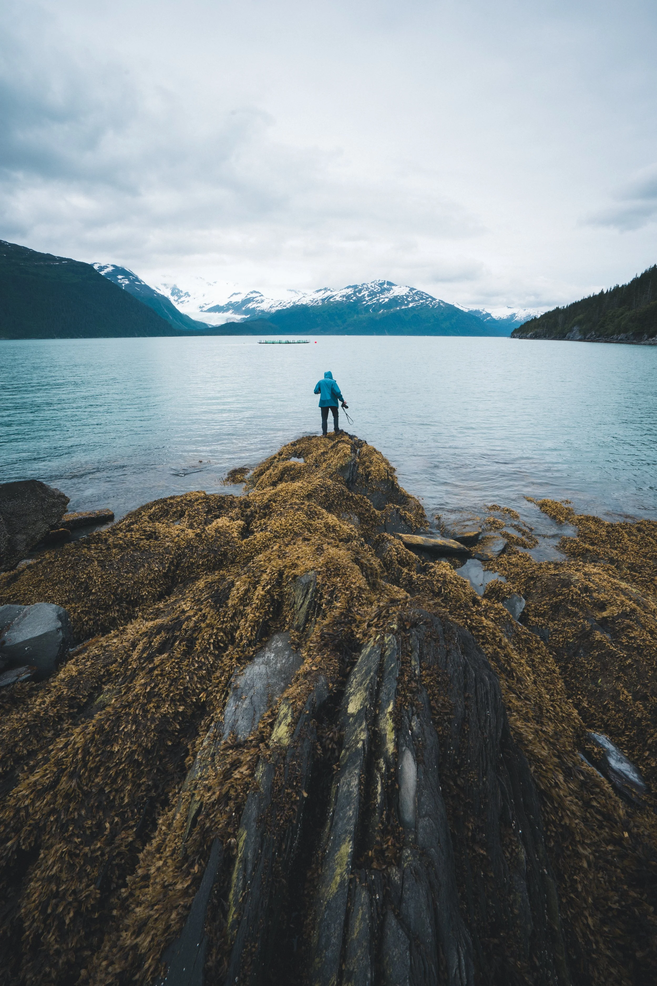 whittier- bird point p2 fin-12.JPG