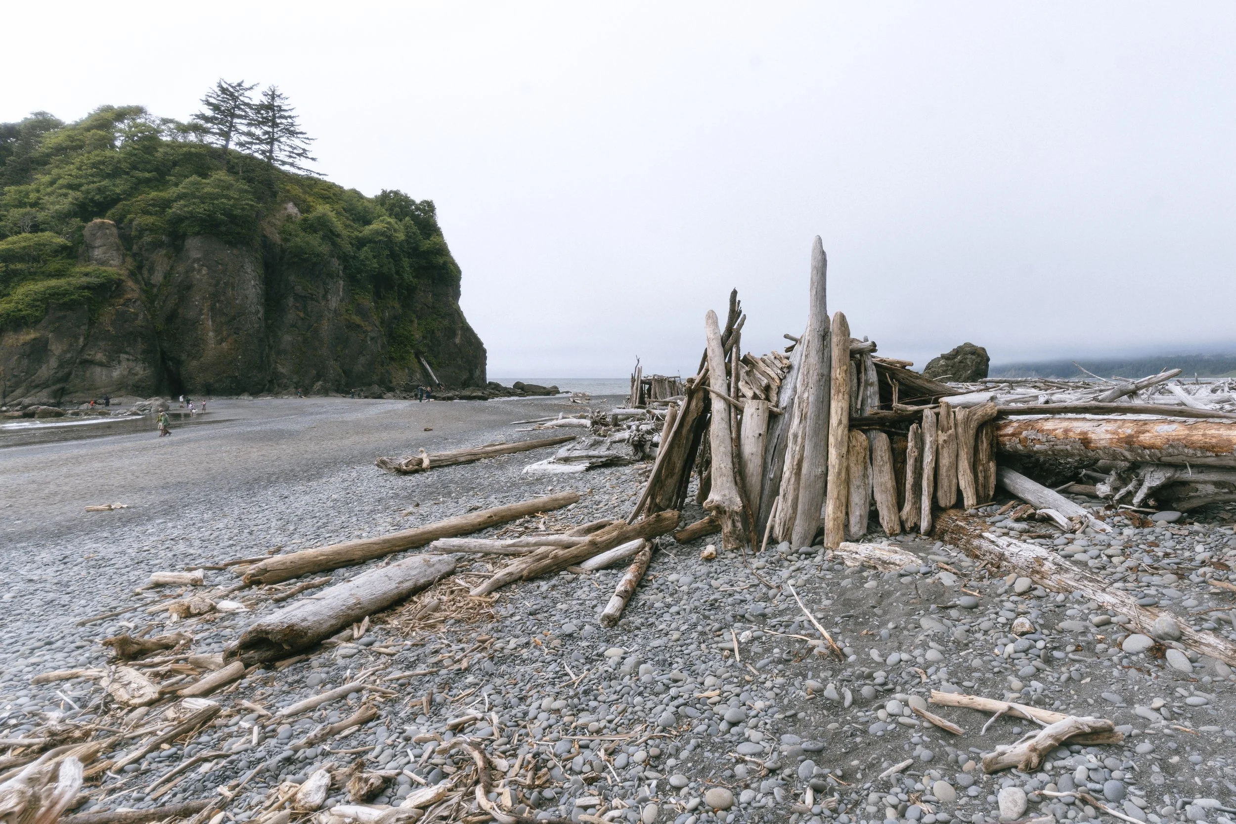 olymnpic nat park fin-3.JPG