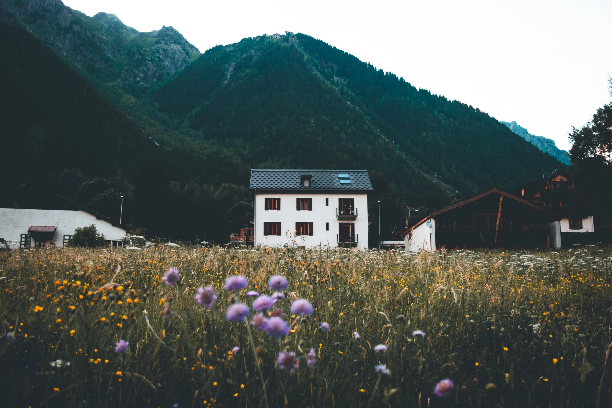 Switzerland reedit.JPG