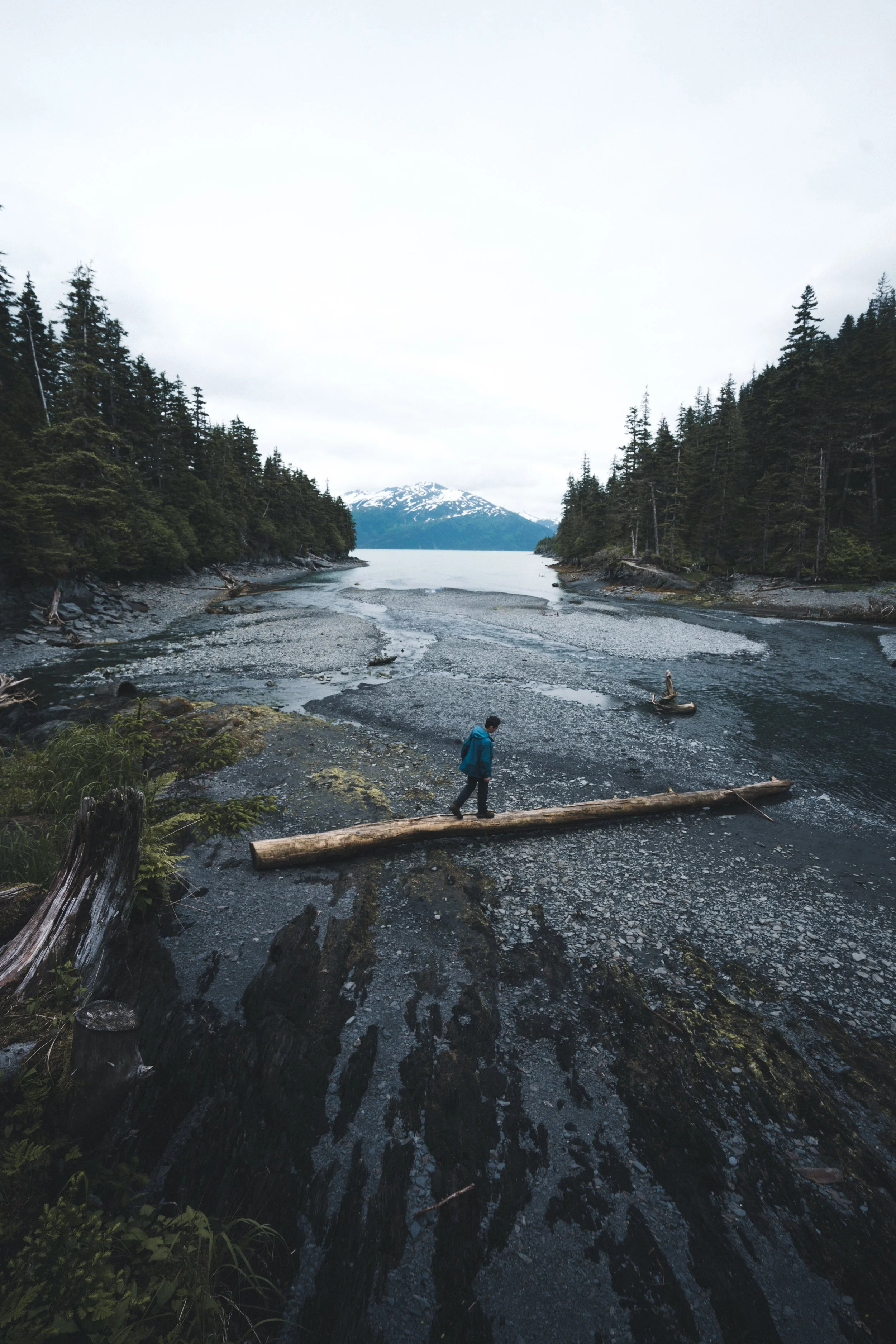 whittier- bird point p1 fin-33.JPG