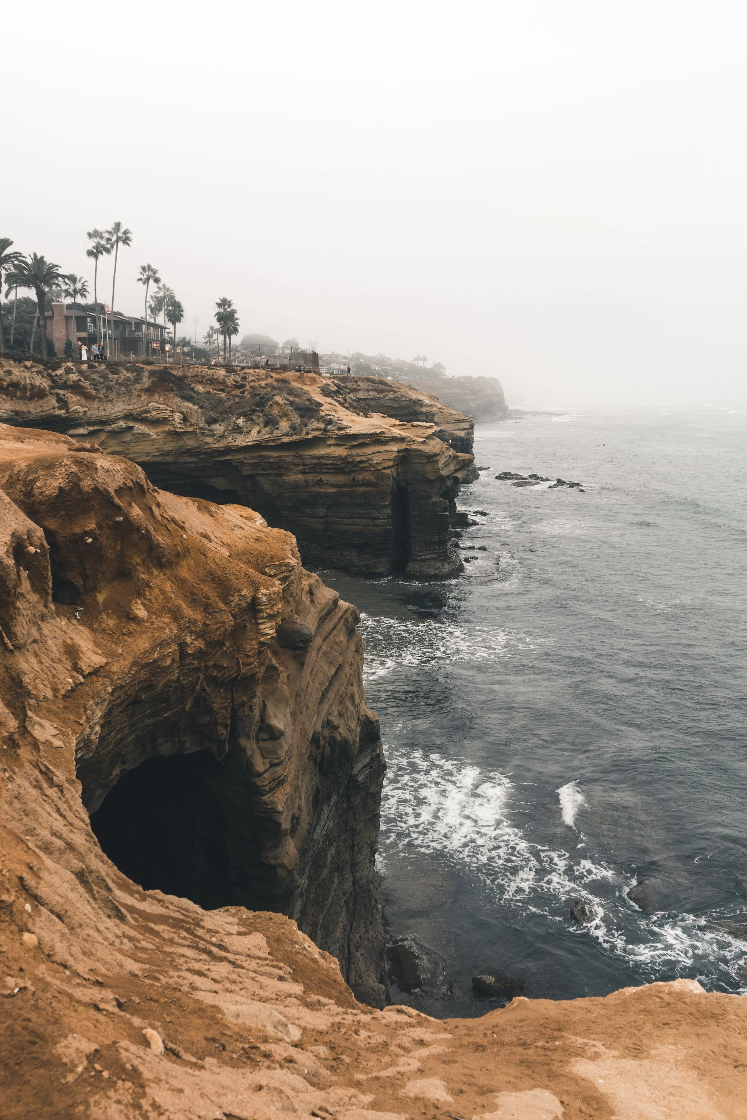 san diego fin-28.JPG