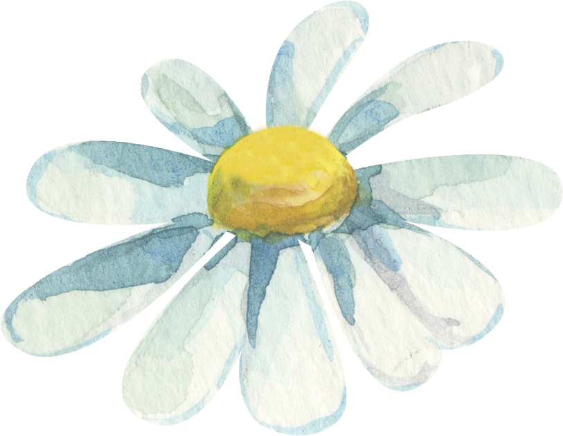 Sunflower_ Jacqueline Perlmutter Existential Guide Bay Area