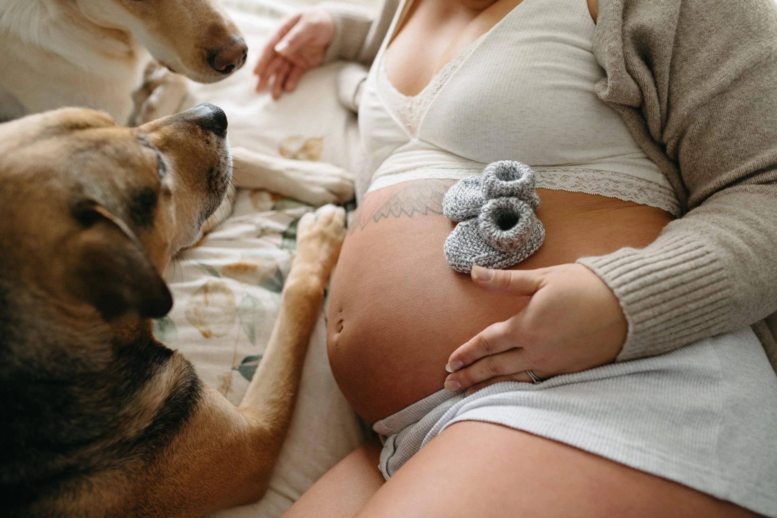 sarahmaternity-69.jpg