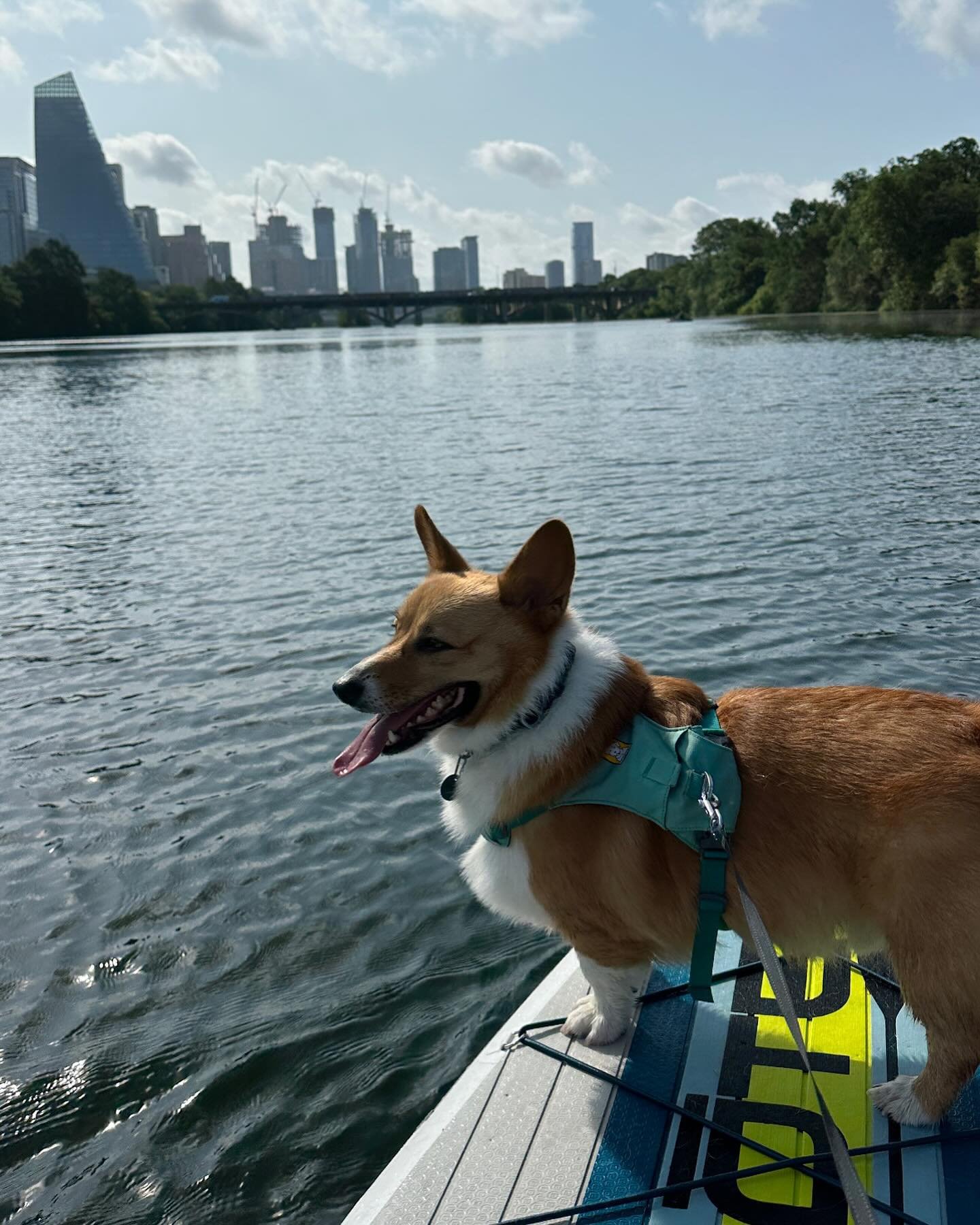 Beautiful morning on the lake!
#paddledog @boteboards #austin #corgisofinstagram