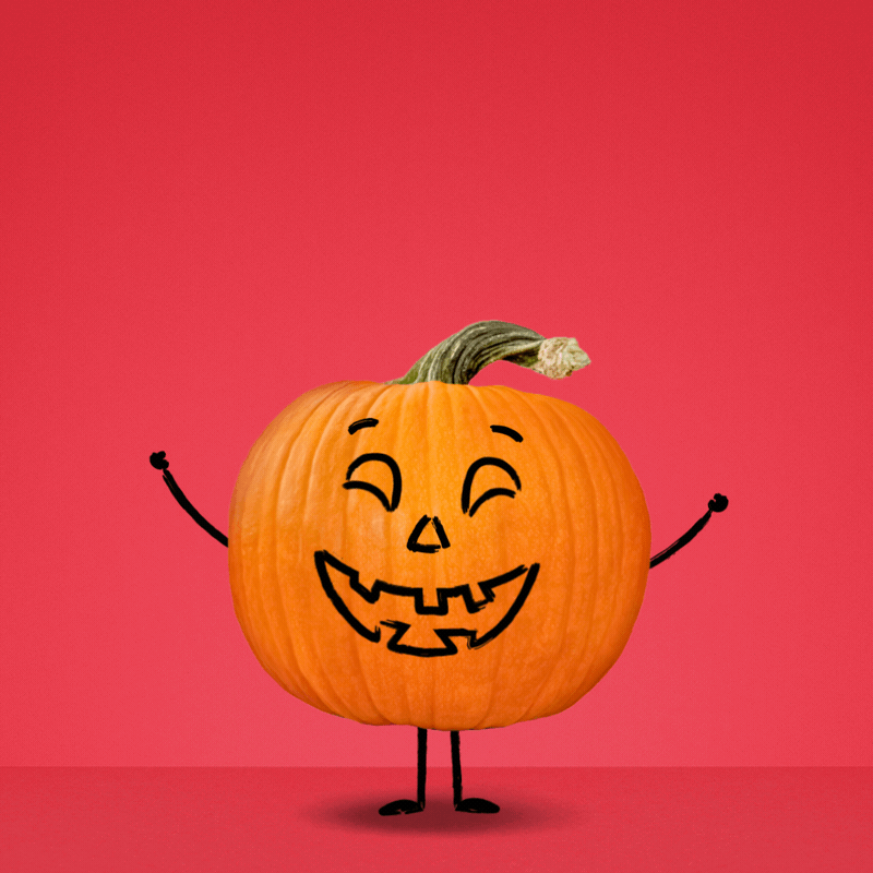 WRAP_BM4_PUMPKIN_ENG_1x1_v03_1.gif