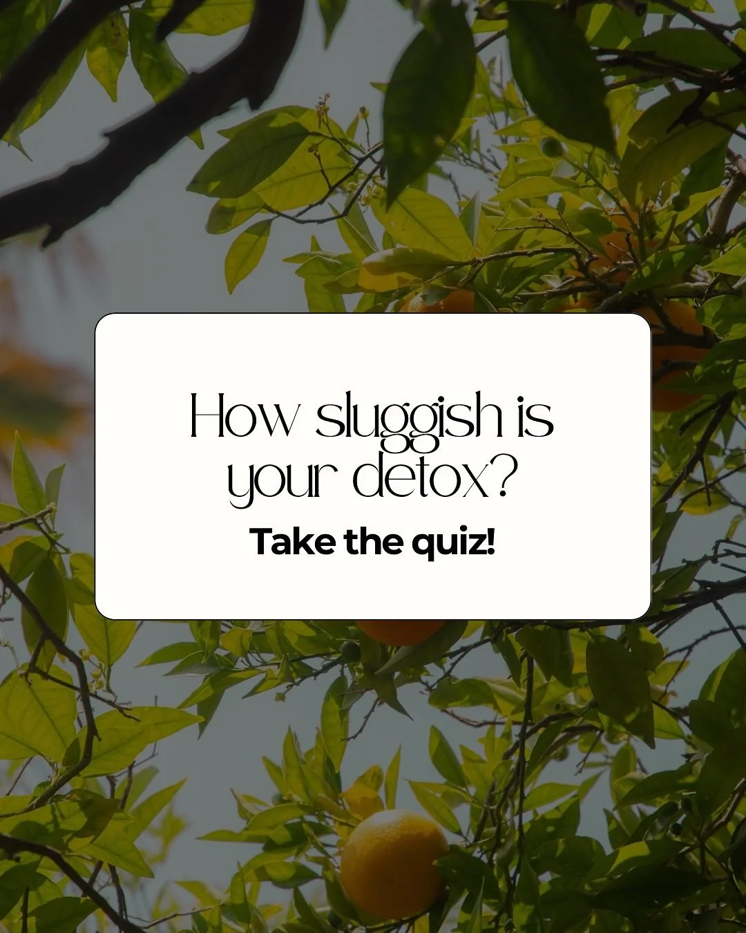 Ever feel like your body just can&rsquo;t keep up? 

Low energy, brain fog, skin issues, PMS, bloating, these are all signs your detox pathways might be sluggish.

Detox isn&rsquo;t about juice cleanses or extreme diets.
It&rsquo;s about giving your 