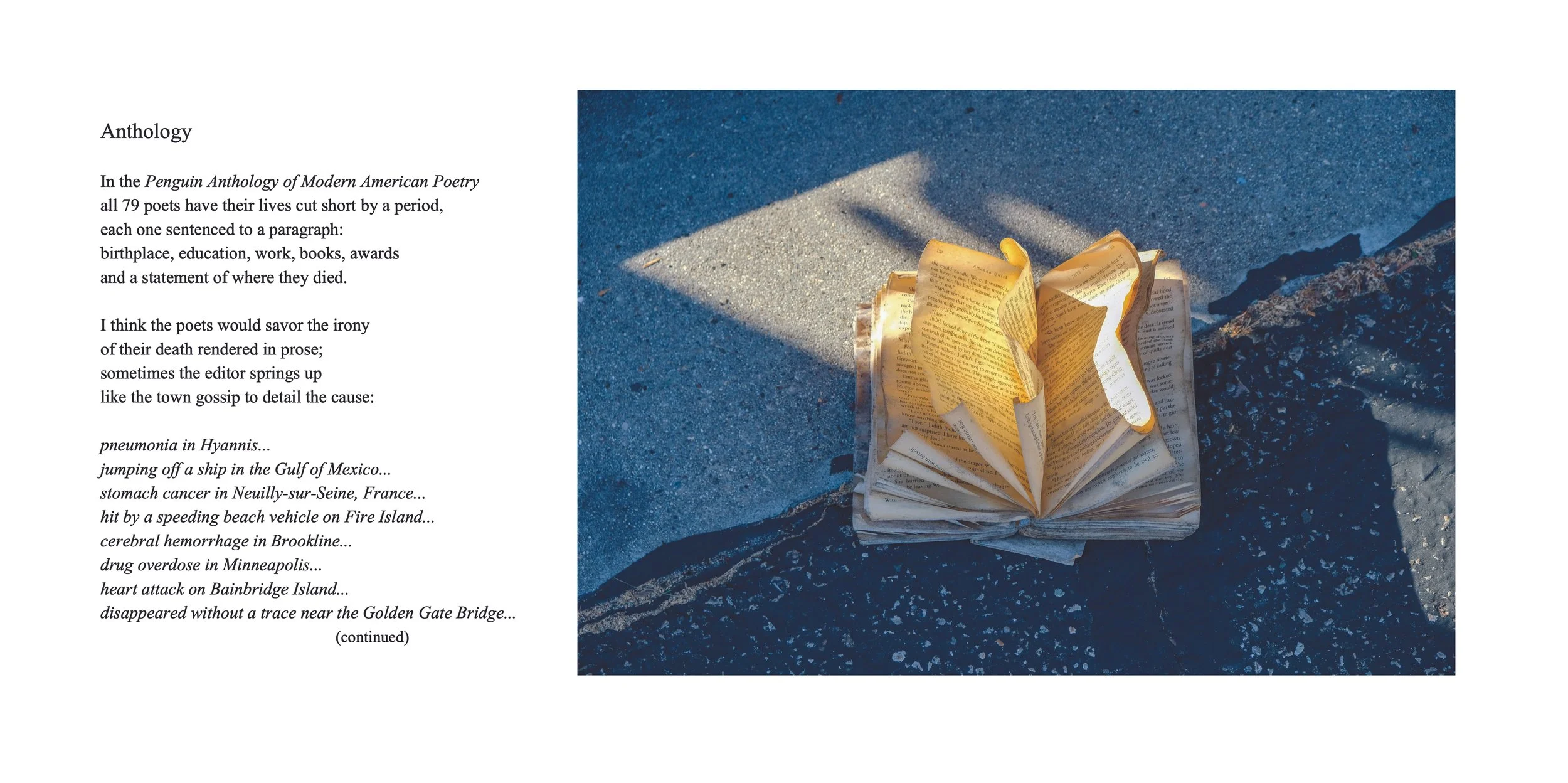 Anthology pg 1 swift.jpeg