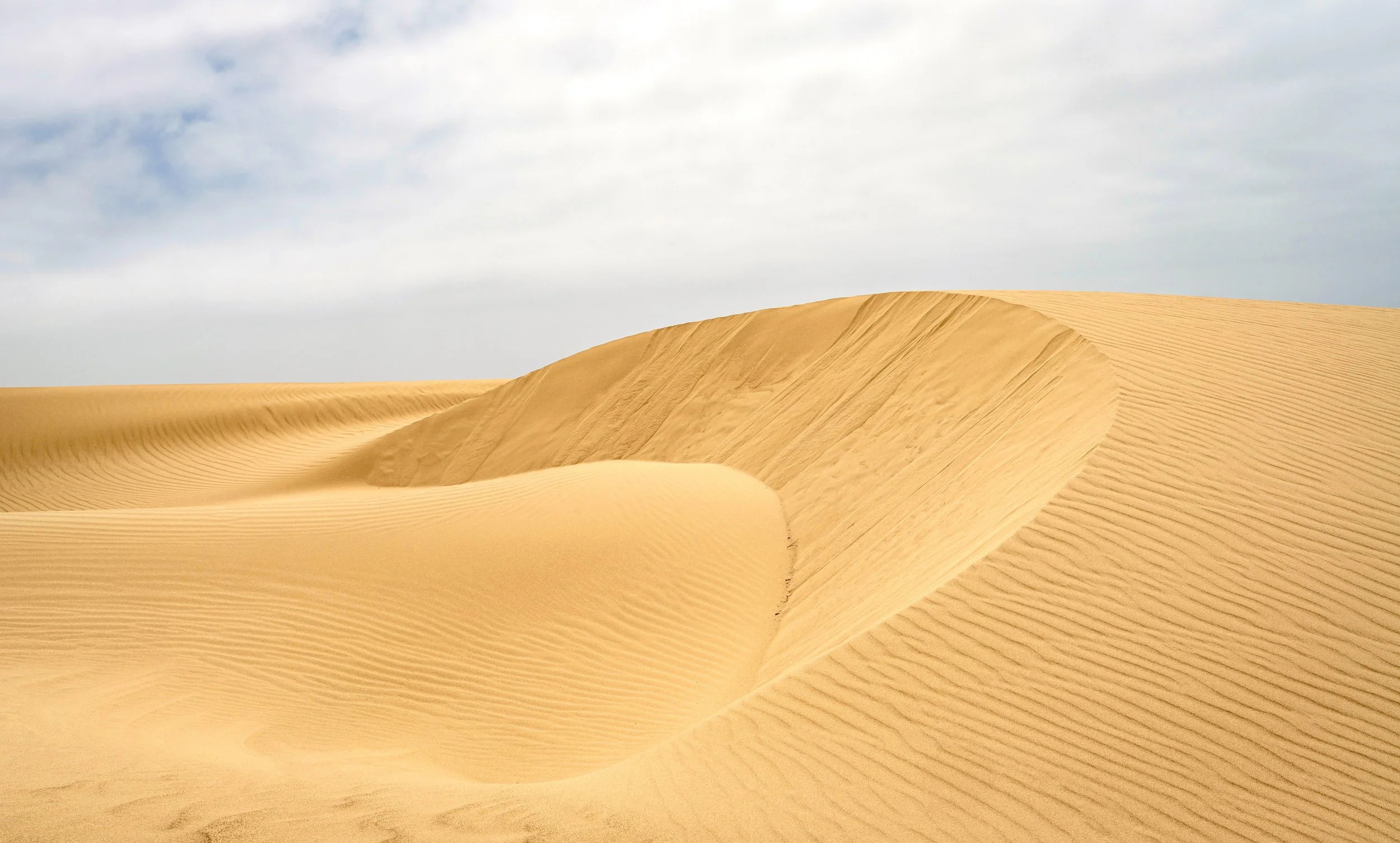 Dune with circular edge copy.jpg