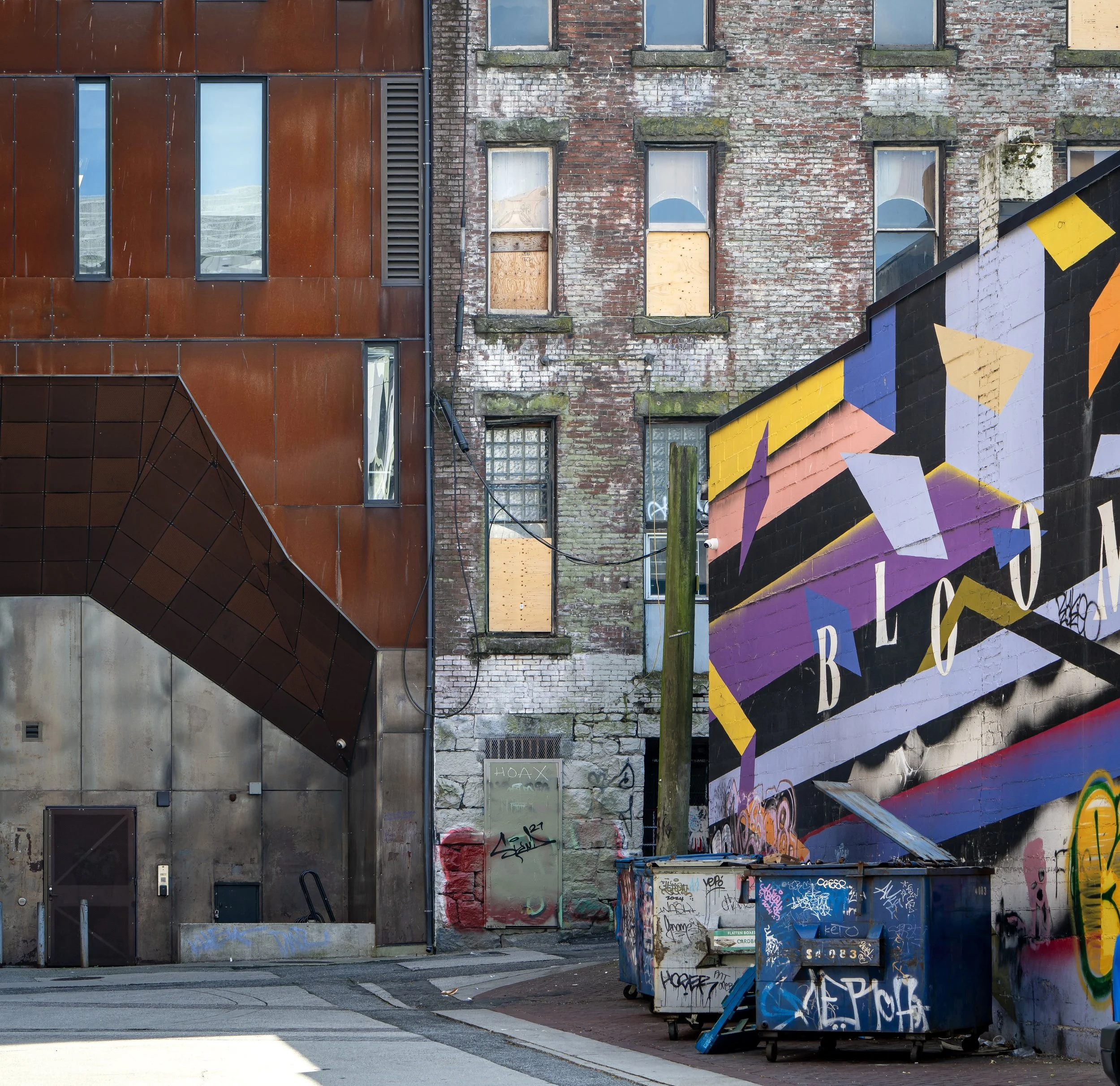 Building walls, mural and trash bins.jpg
