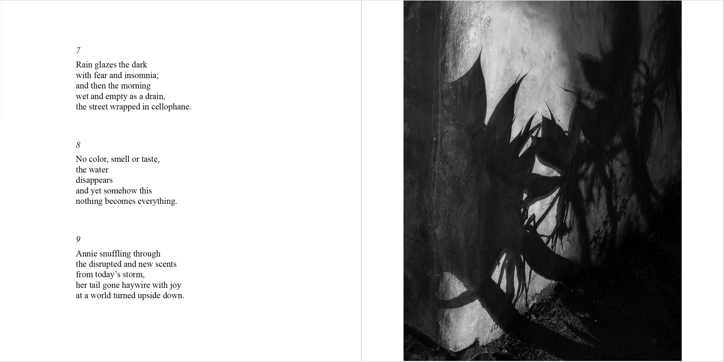 Screen Shot 2024-02-09 at 8.08.47 PM.png