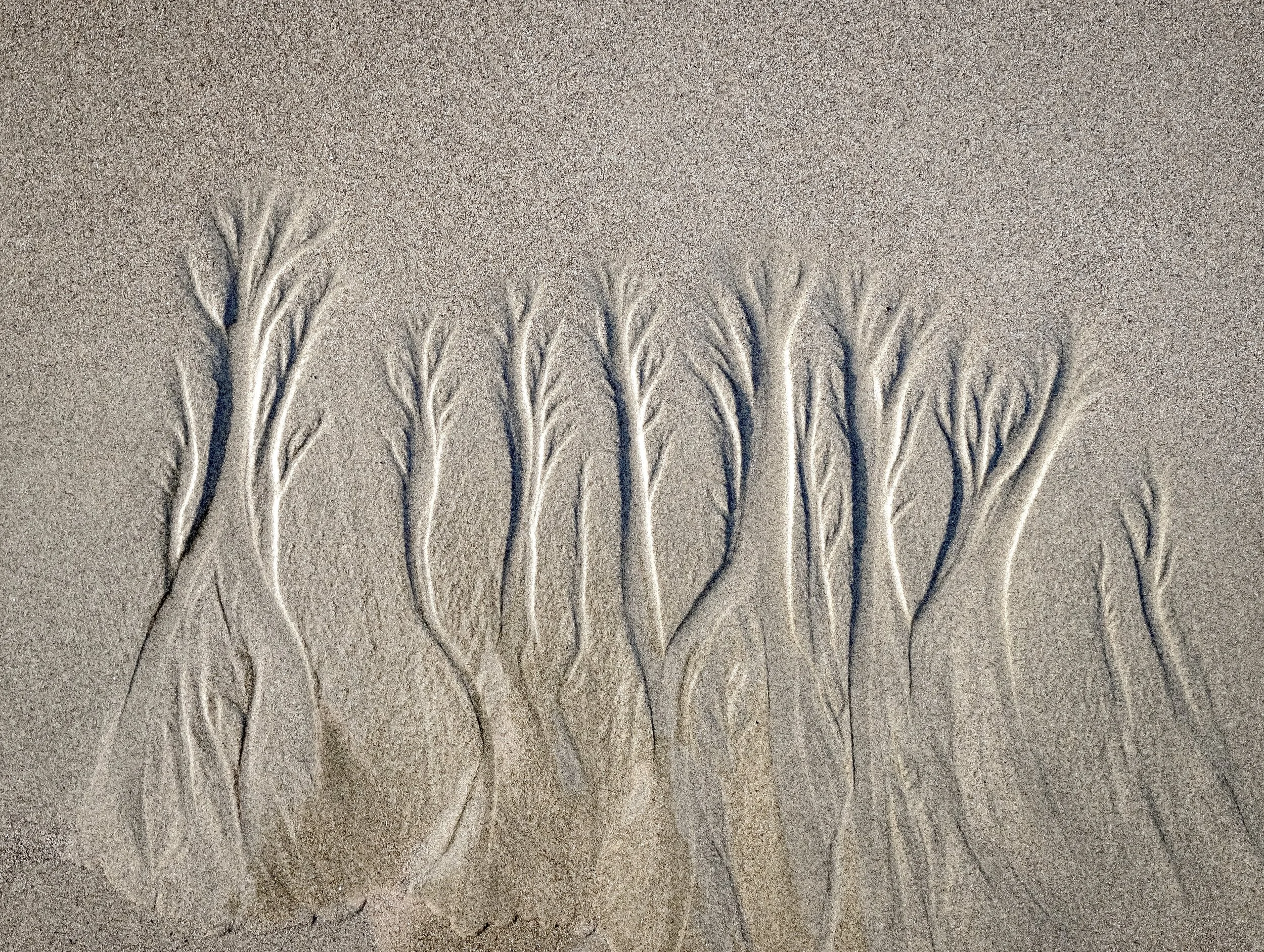 Miramar beach bnw copy.jpg