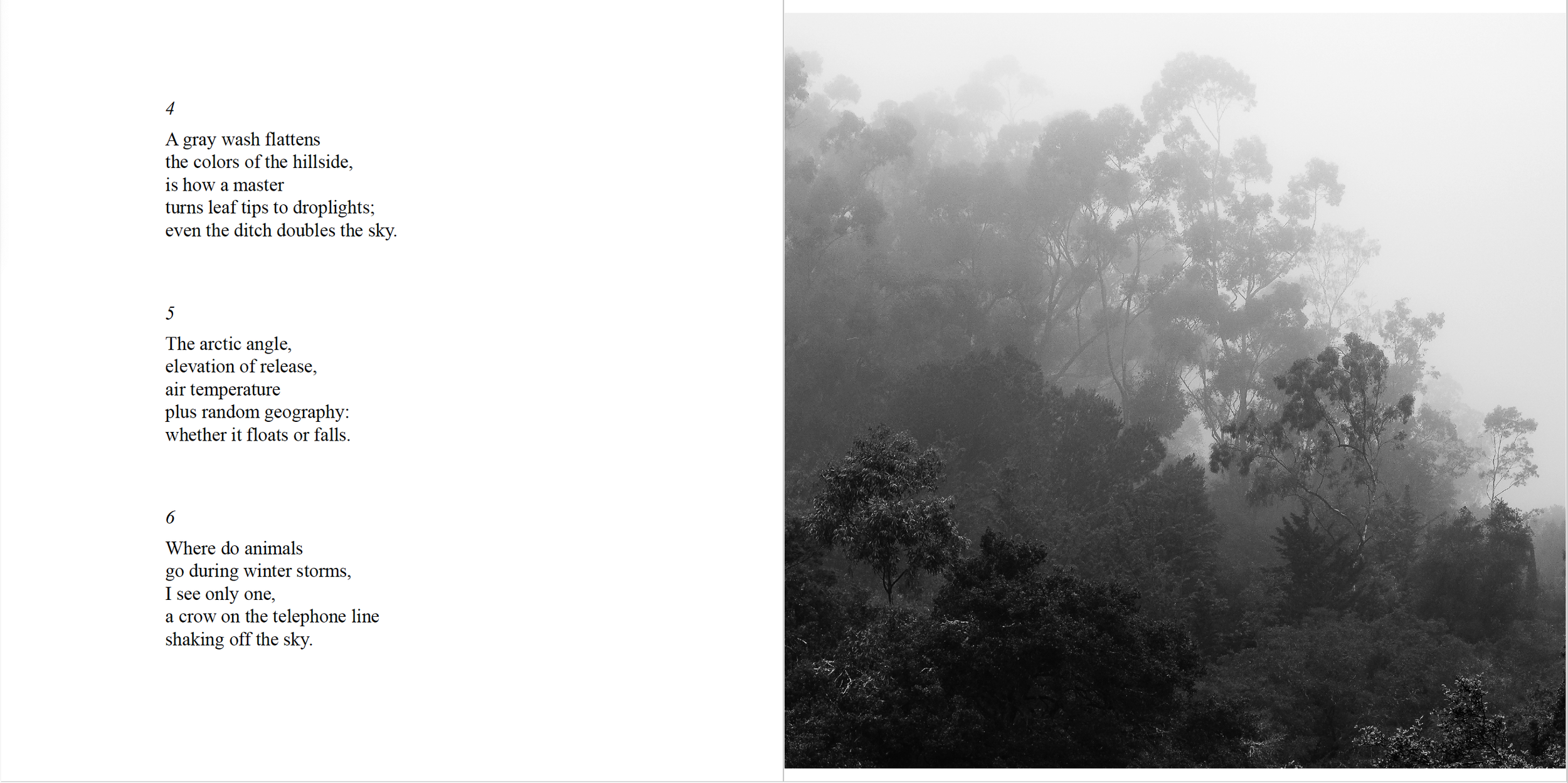 Screen Shot 2024-02-09 at 8.08.21 PM.png