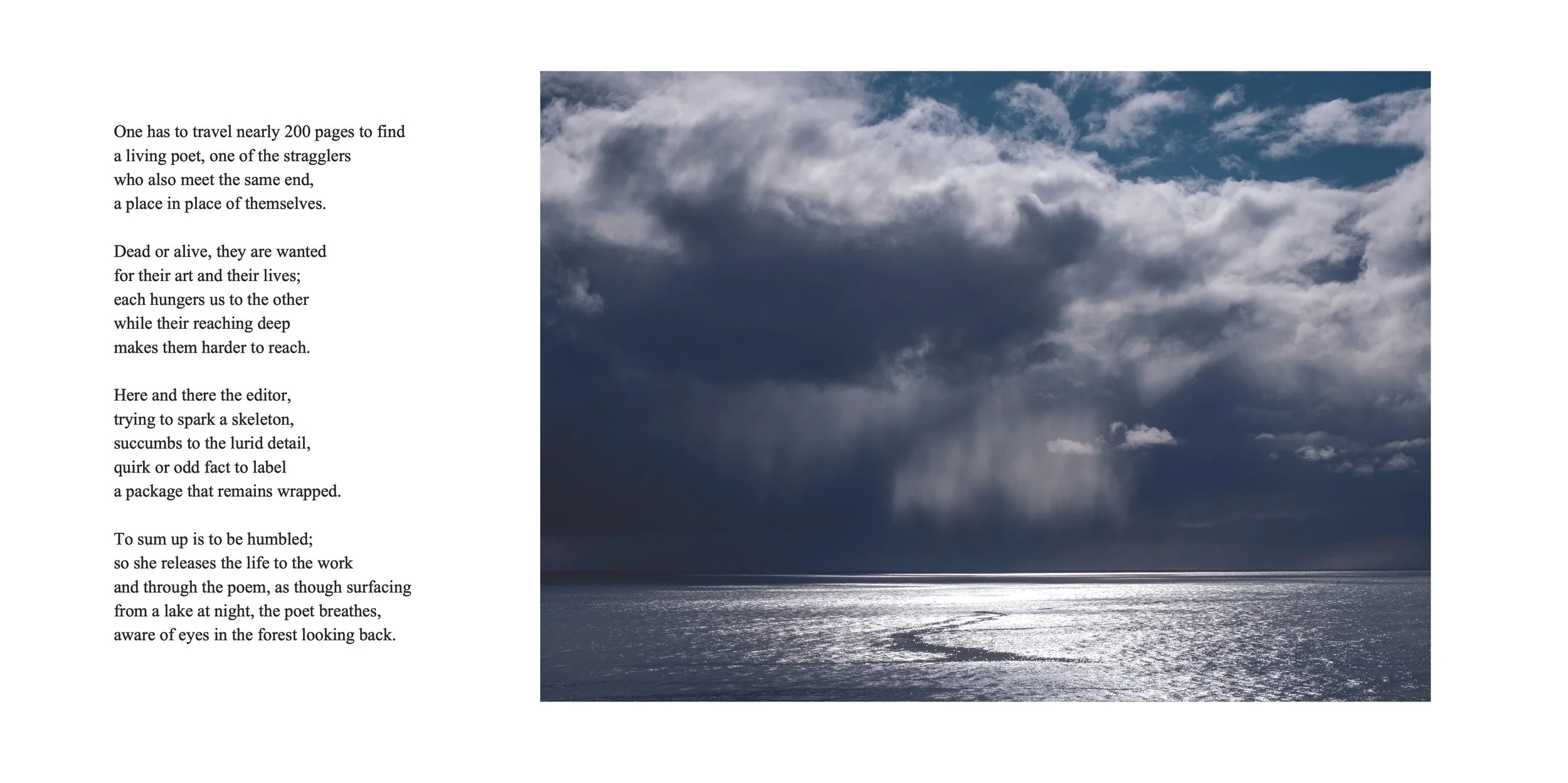 Anthology pg 2 swift.jpeg