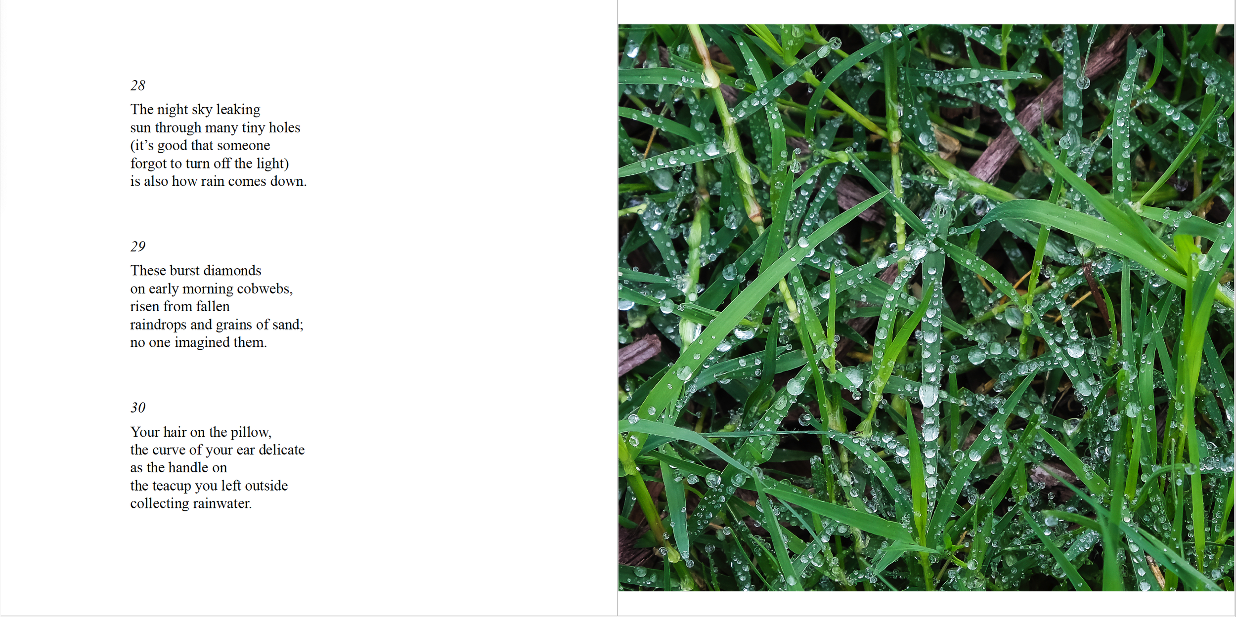 Screen Shot 2024-02-09 at 8.11.21 PM.png