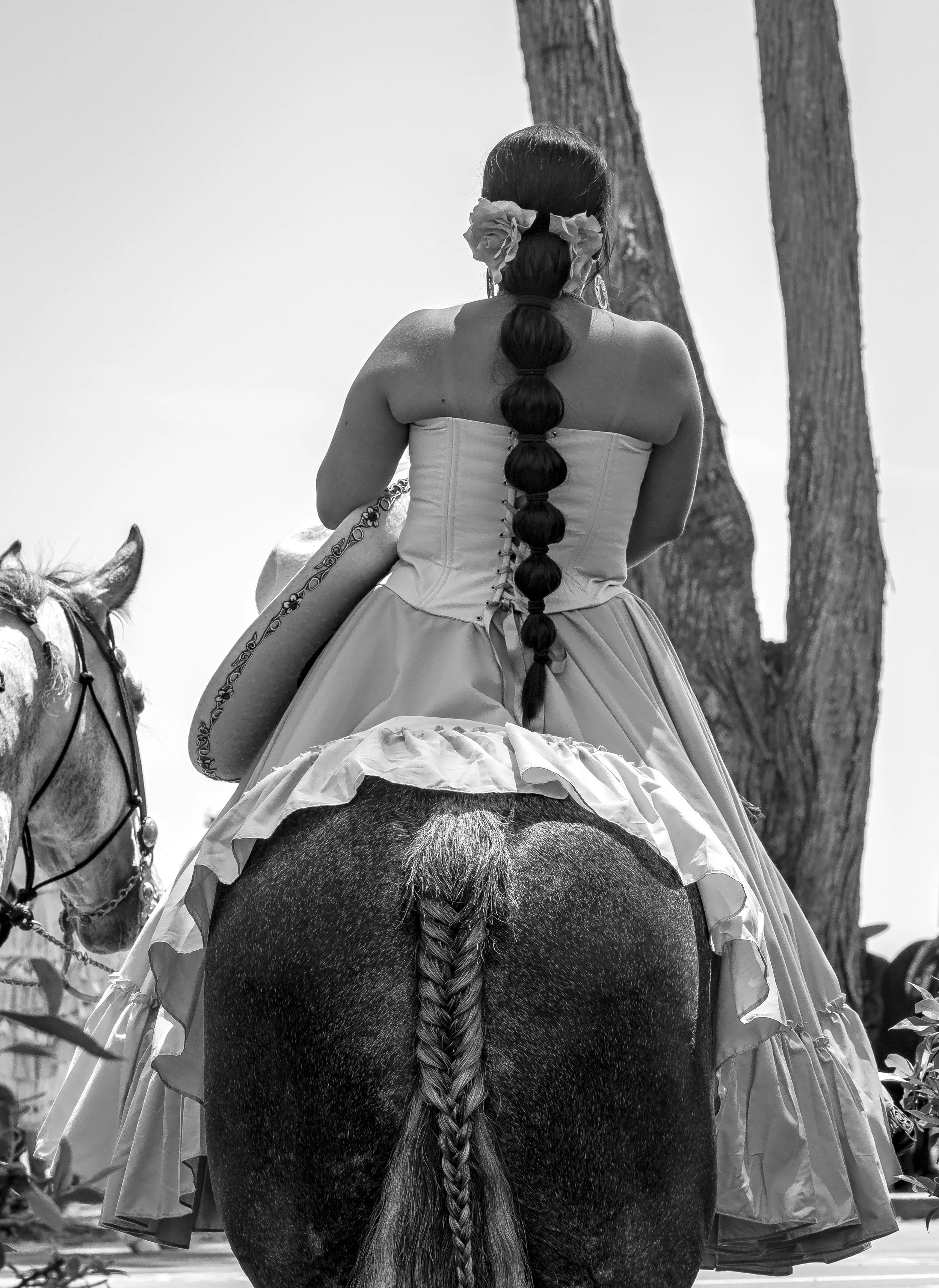 Woman's braid and horse's braid bnw.jpg