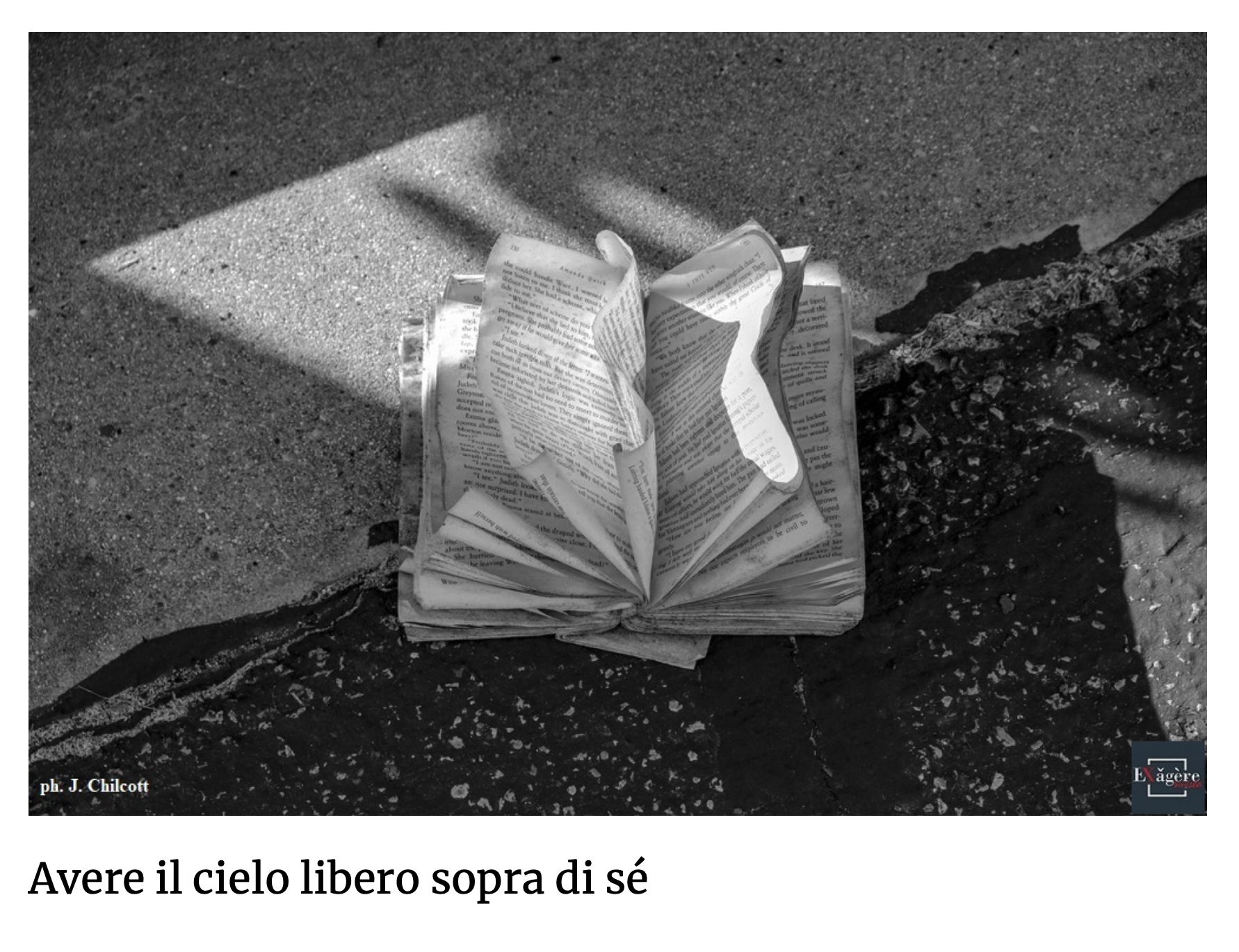 Screen Shot 2025-02-14 at 9.54.44 AM.png