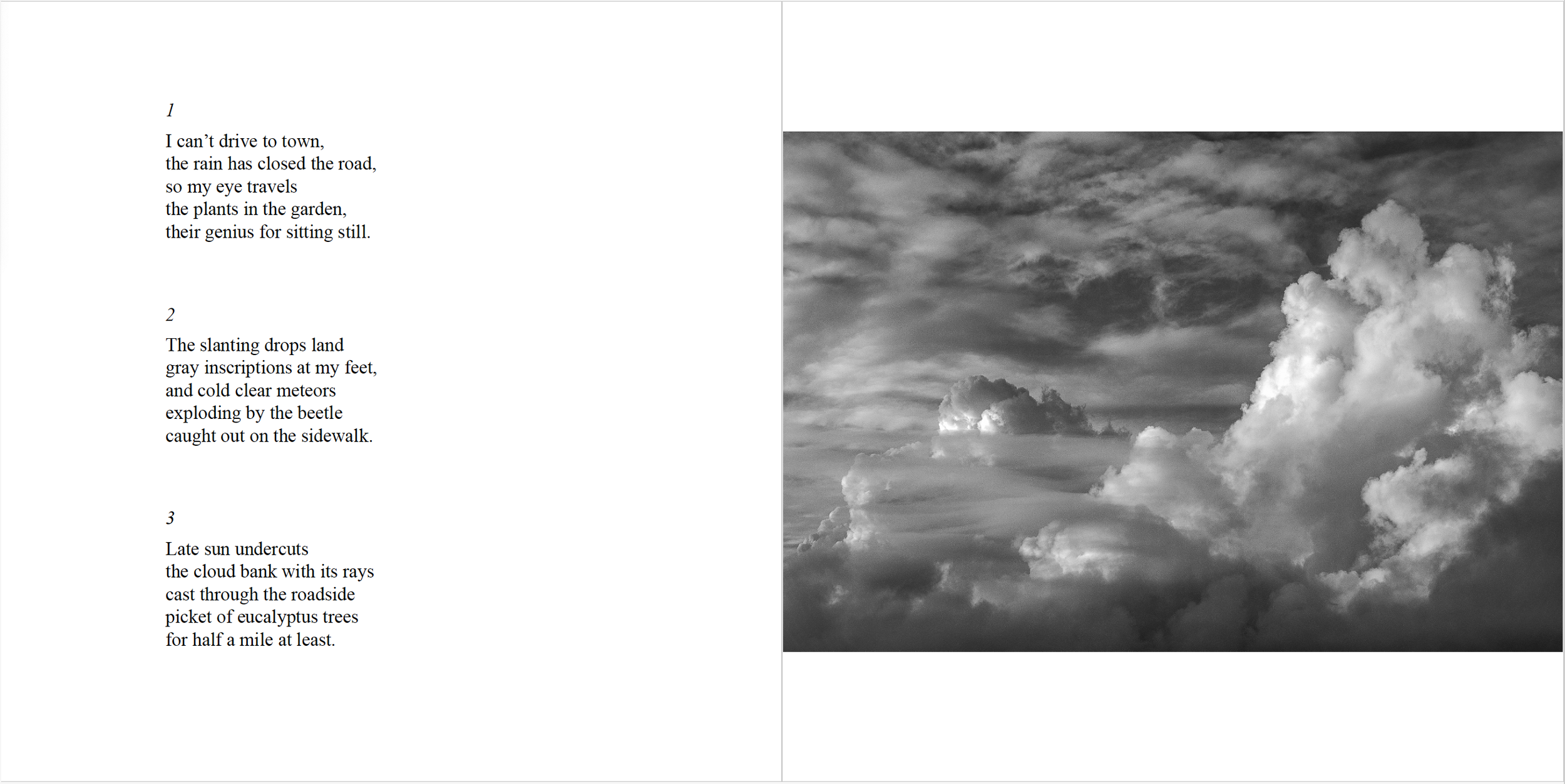 Screen Shot 2024-02-09 at 8.07.58 PM.png