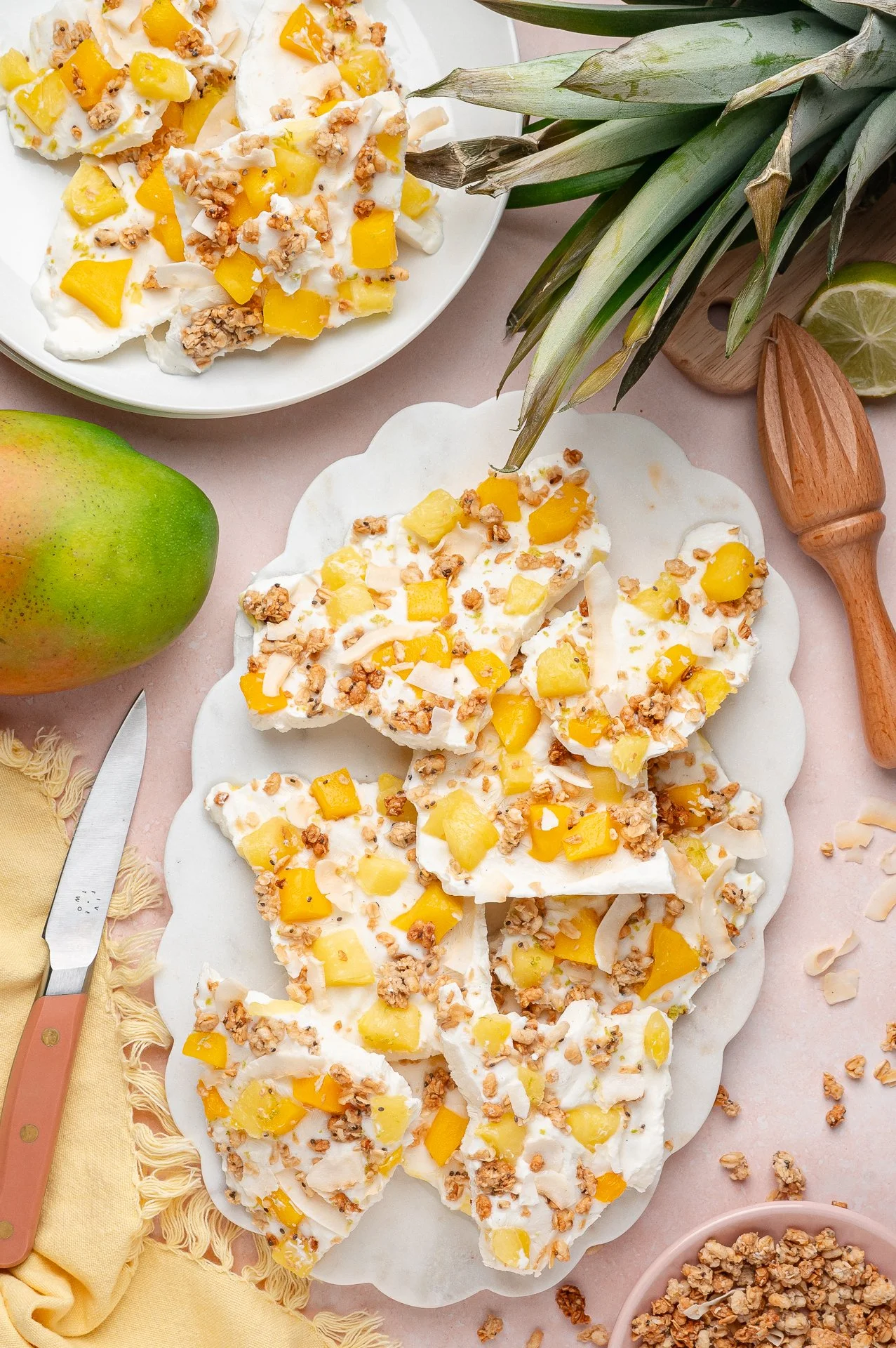 Tropical Frozen Yogurt Bark-11.jpg
