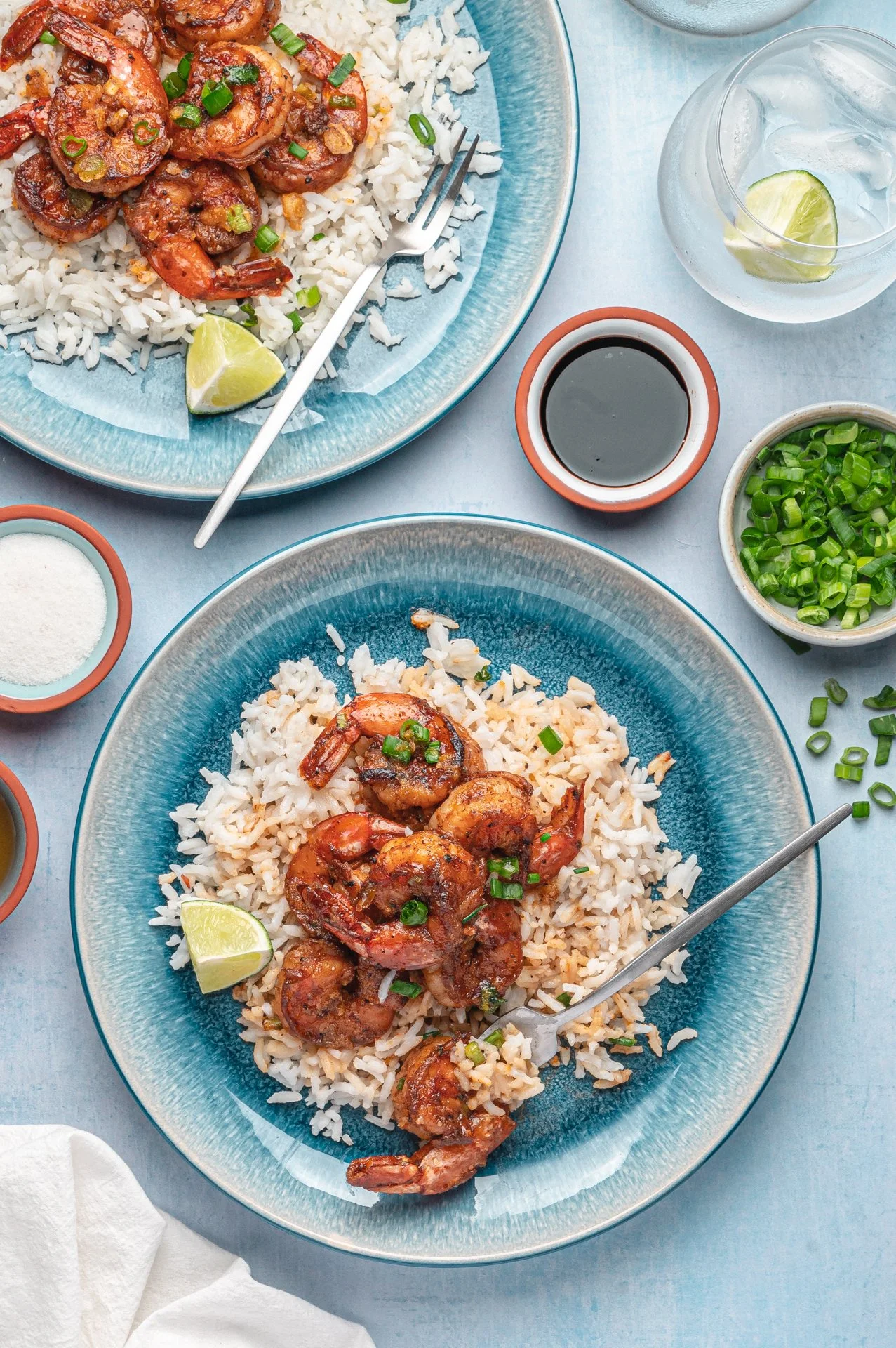 Jerk Shrimp and Coconut Rice-29.jpg