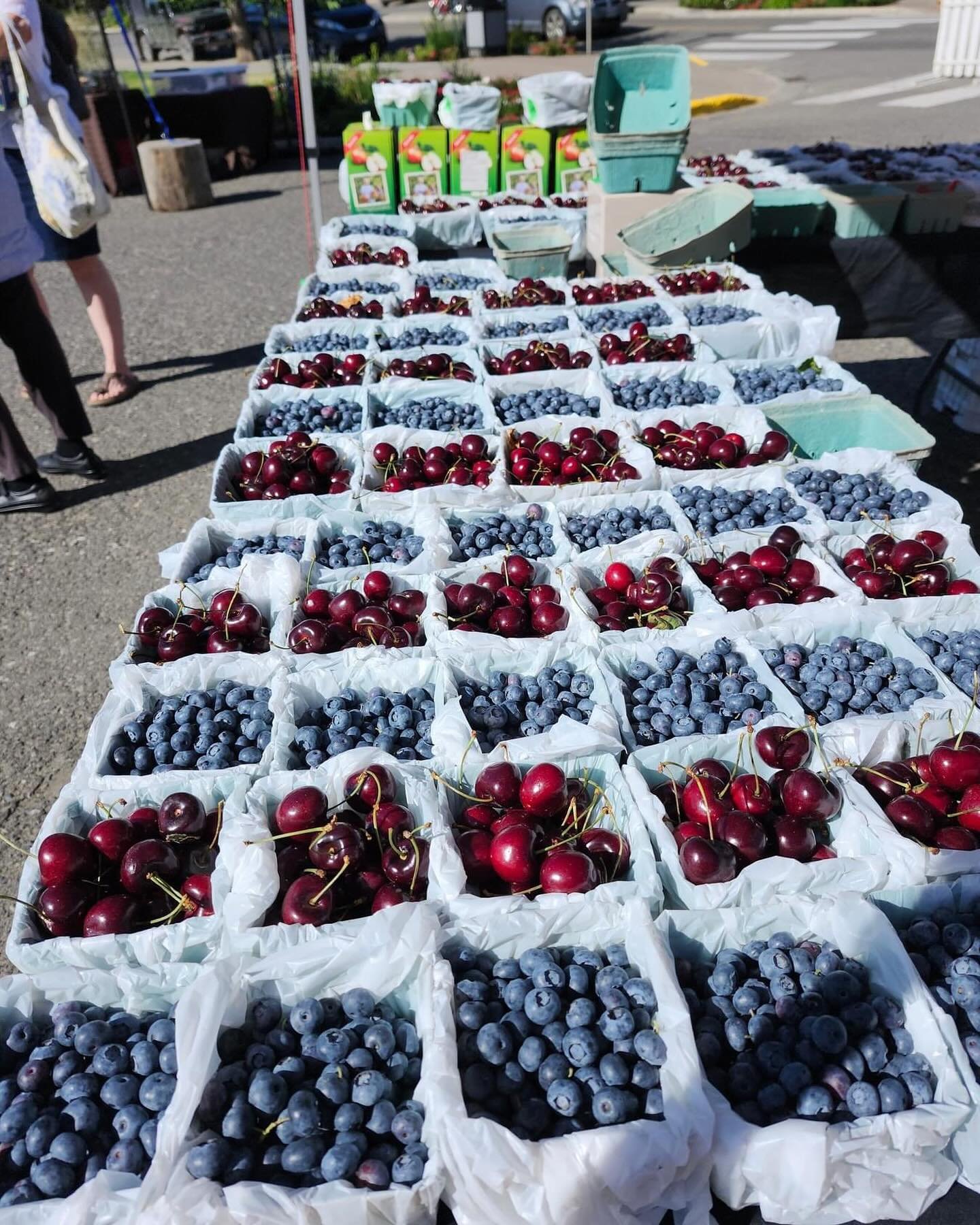 #beautifulbc #southcariboofarmersmarket #discoversouthcariboo #explorebc #freshproduce #secwepemculecw #farmfresh #farmersmarketfinds #100milehouse #explore #market #bcfarmersmarket #100mile #marketfinds #farmersmarket #cariboolife #southcariboo #loc
