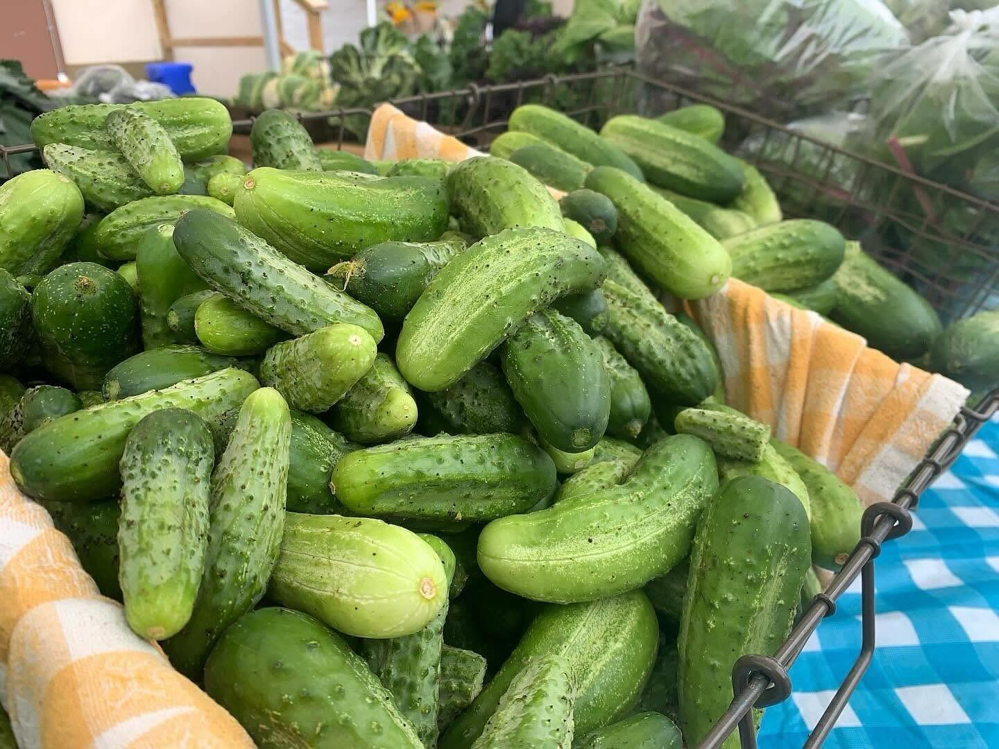 We are nearing the end of market season, but there are still a few weeks to go! We had a really cold spring which brought a slow start to the season for a lot of our veggie producers, but the produce is coming in full swing now! Make sure you come by