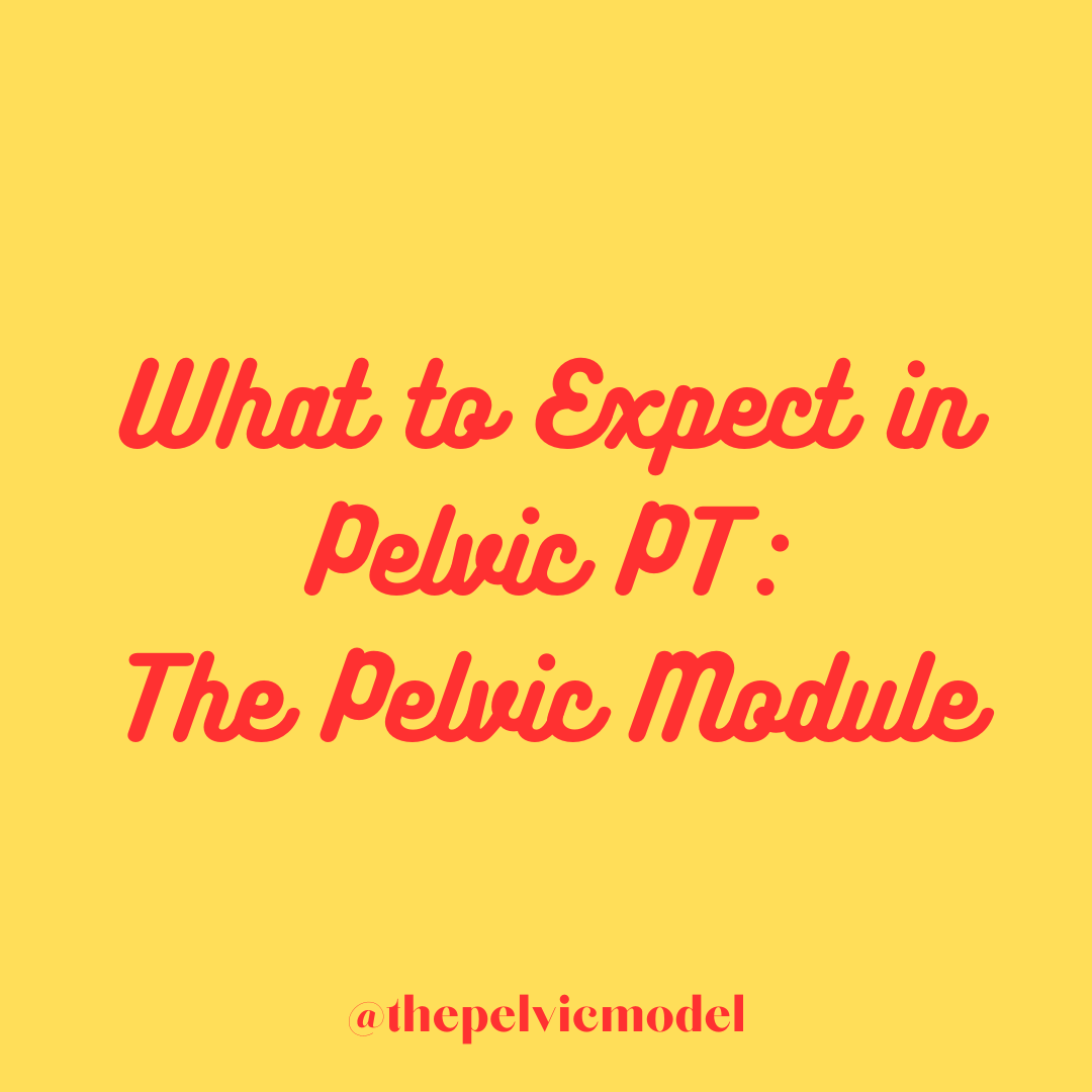 What to Expect in Pelvic Therapy Pt 2