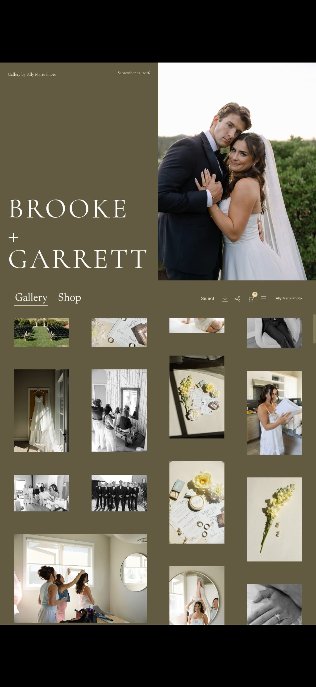 Gallery Audit
