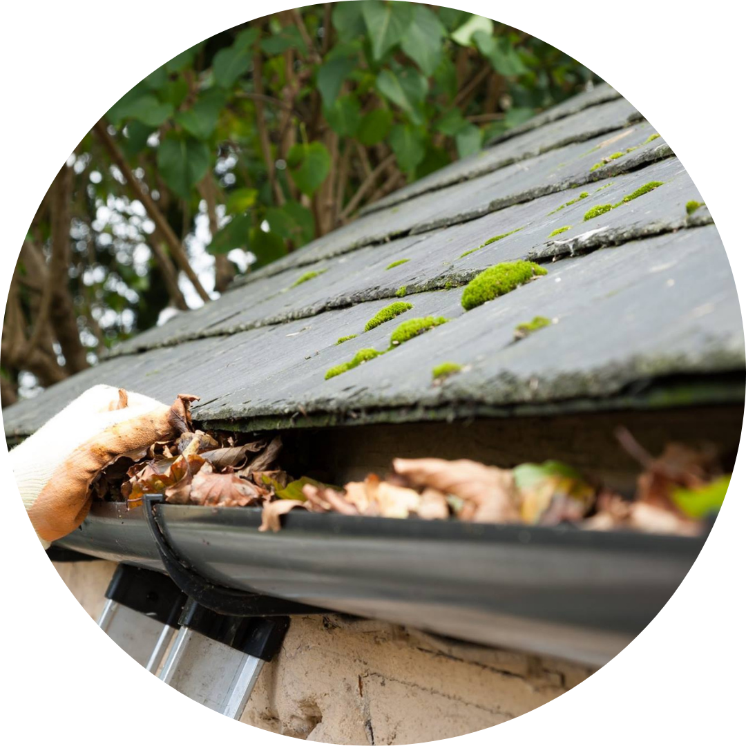 Gradient Days of the Week Schoology Buttons (14).png