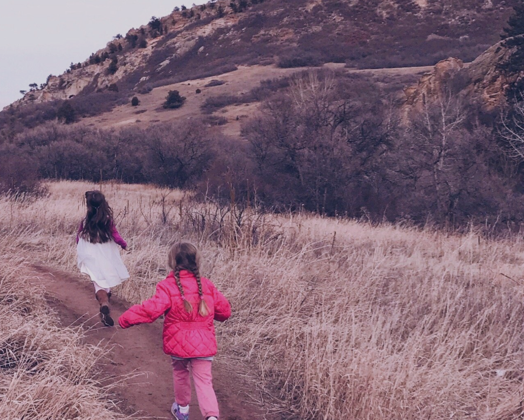 Blossom and Root: Early Years Curriculum: 
 
A play-based, nature-infused curriculum designed to ignite wonder. With an emphasis on storytelling, art, and hands-on exploration, it’s perfect for families who believe learning should be joyful, flexible