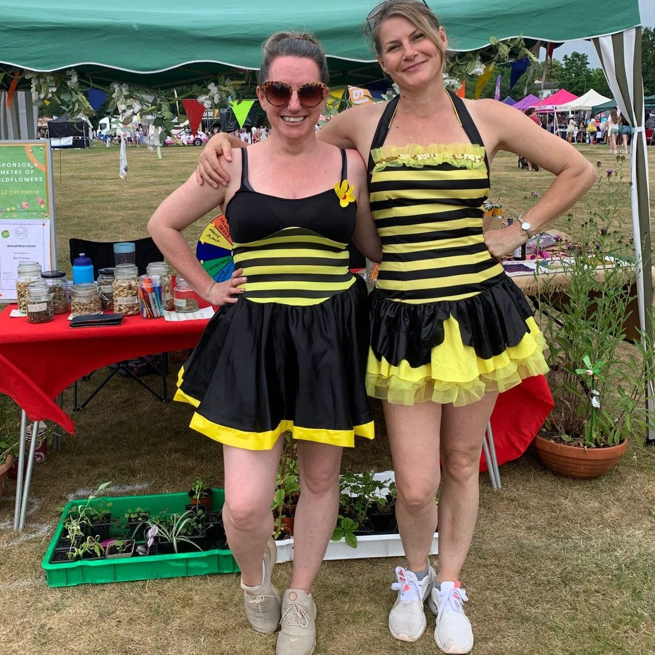 All the fun of the fair! 

Thanks so much if you came to chat at Englefield Green Village fair, and to the brilliant people who donated or sponsored a metre of wildflowers! Through our spin-the-wheel game, we gave away lots of cool prizes, including 