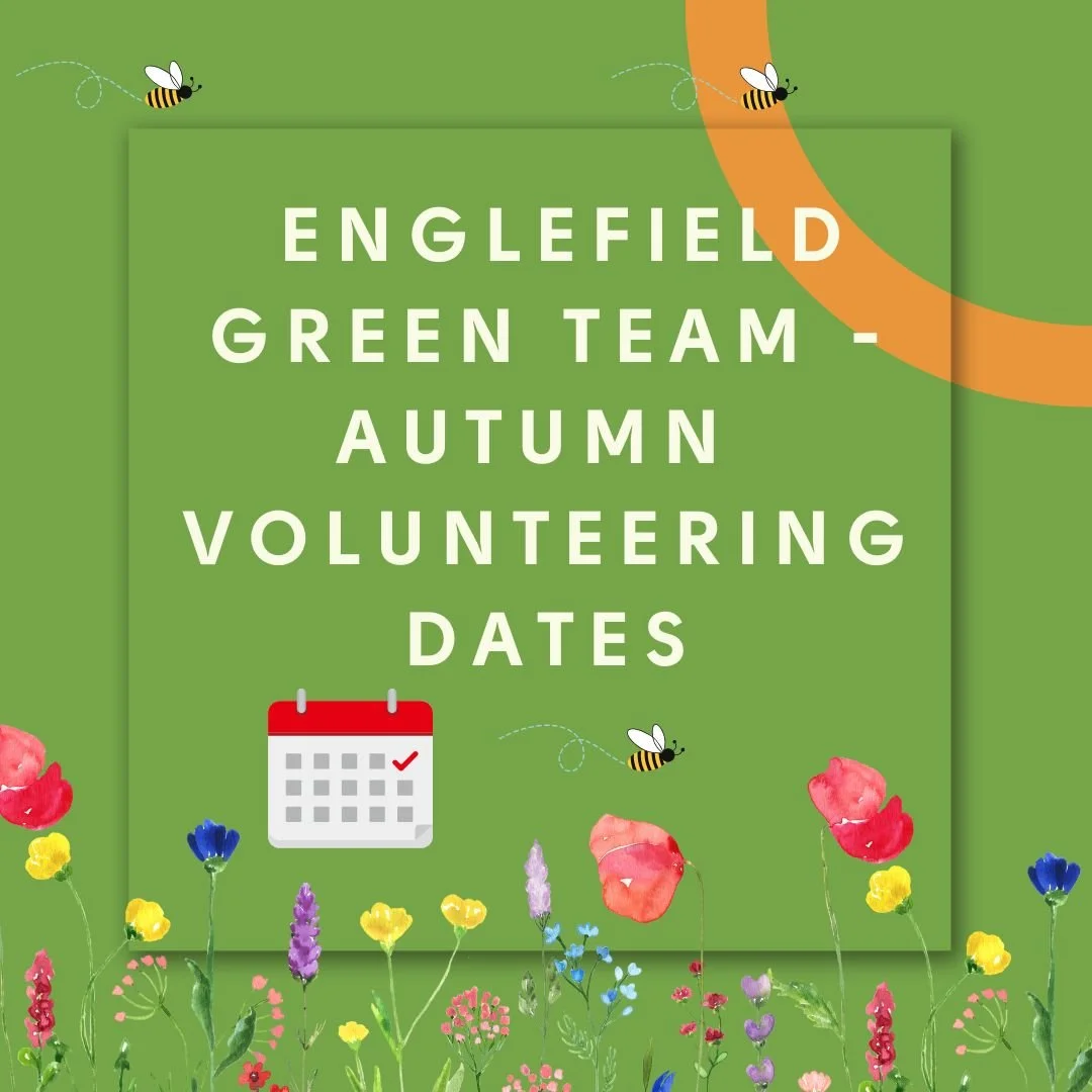 Roll up, roll up! We're looking for volunteers to help Englefield Green's nature flourish.
We usually meet on the last Saturday of the month for our group volunteering days. 
Here's a list of tasks we'd really appreciate help with. You don't need to 