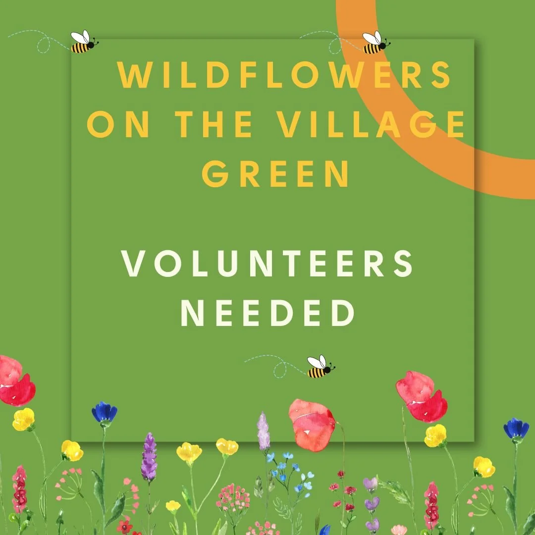 Got a couple of hours to spare? Want to help nature?
It's time to cut back the wild flowers on the Village Green, and give them a good weed and water to keep them happy over the cooler months.
Can you help?
Meet 10am near the Barley Mow. All welcome!
