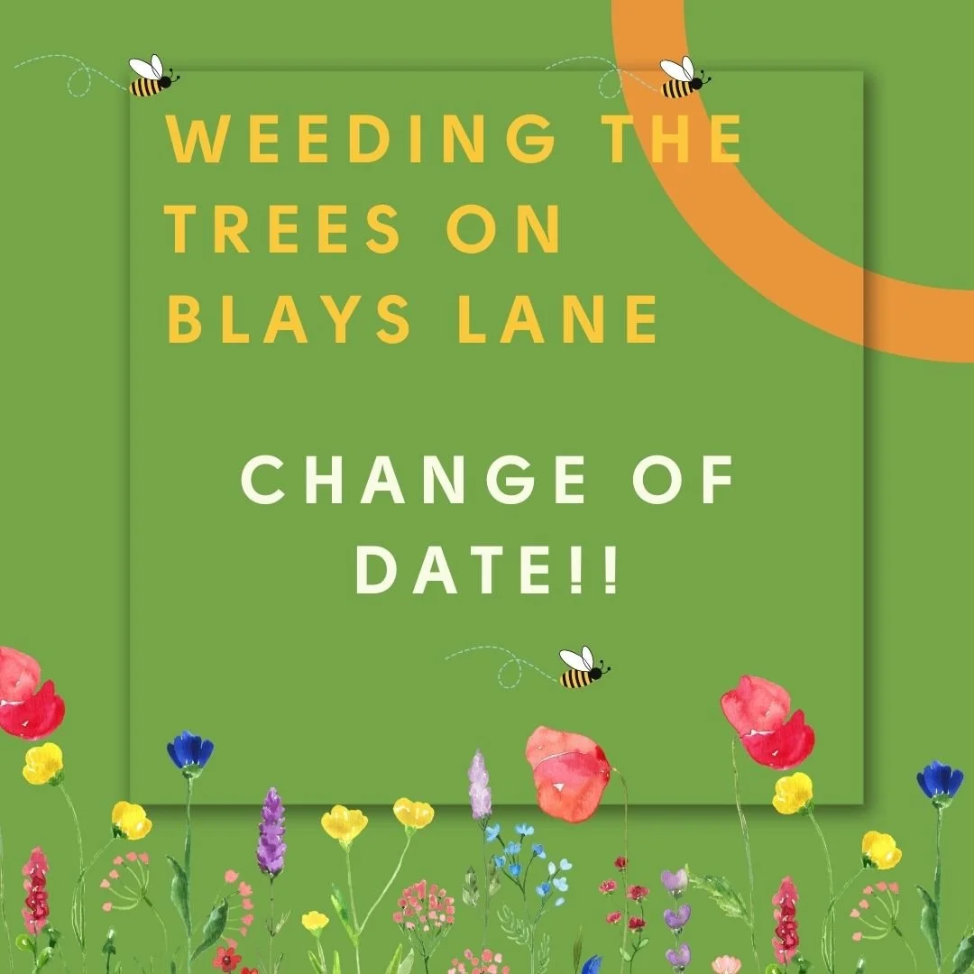 Change of Date!
We'll be meeting next Thursday 18th Sept., 5.30pm on Blays Lane to clear the weeds from the Miyawaki forest and plant some fox gloves. This date is instead of the planned event on 27th, which is now cancelled). 
Please do come along! 