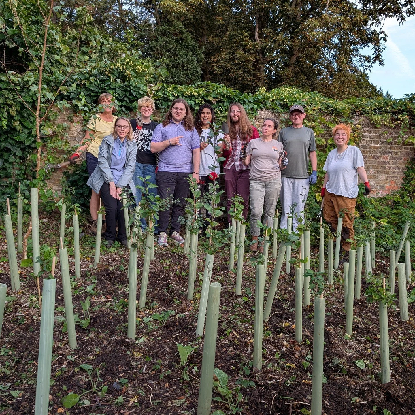 Many hands make light work! Yesterday evening we blitzed the brambles and hops tangling up the newly planted trees on Blays lane. Special thanks to the spontaneous gang of @royalholloway students❤️ for mucking in!