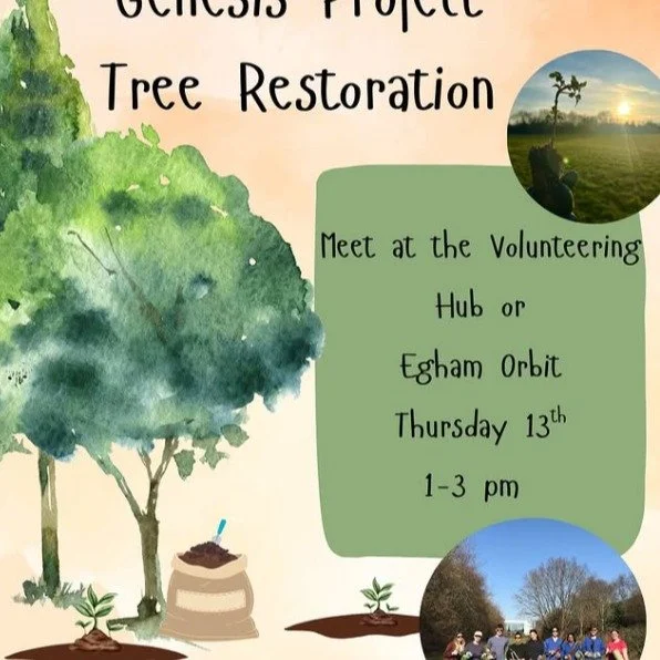 Sharing on behalf of @rhul_nature!

🌳✨ Last year, with your amazing support (and in partnership with The Genesis Project), we planted over 400 trees&mdash; and thanks to your care, 90% are thriving today!💚

Now it&rsquo;s time for the next phase🌱
